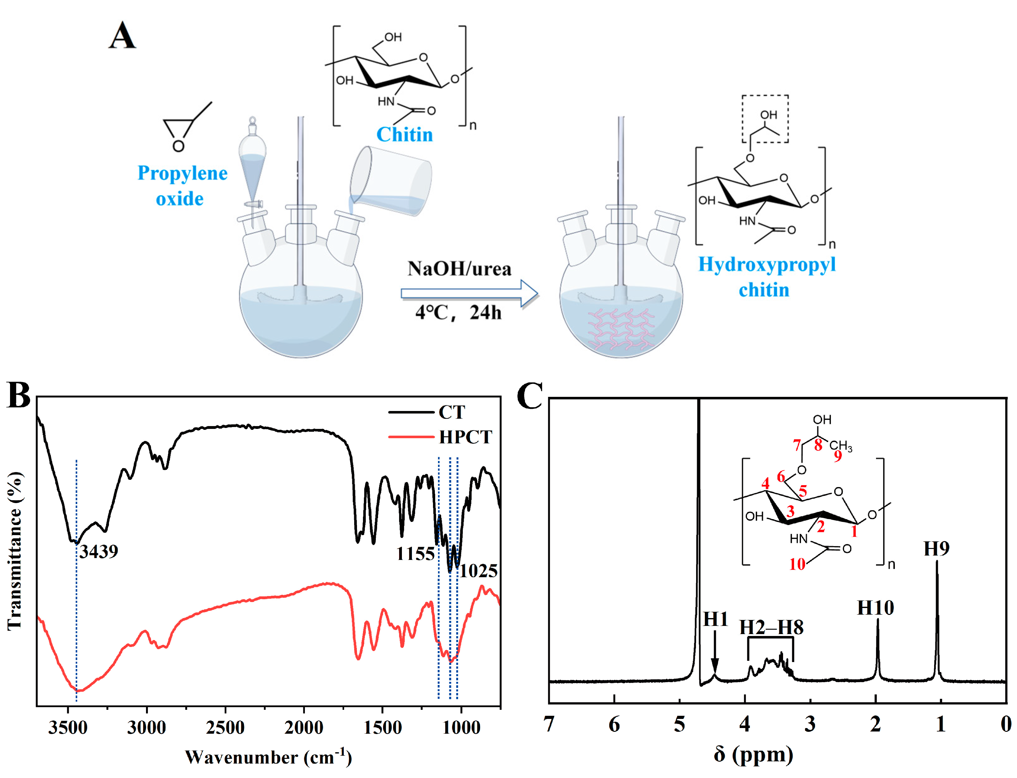 Polymers 16 02815 g001
