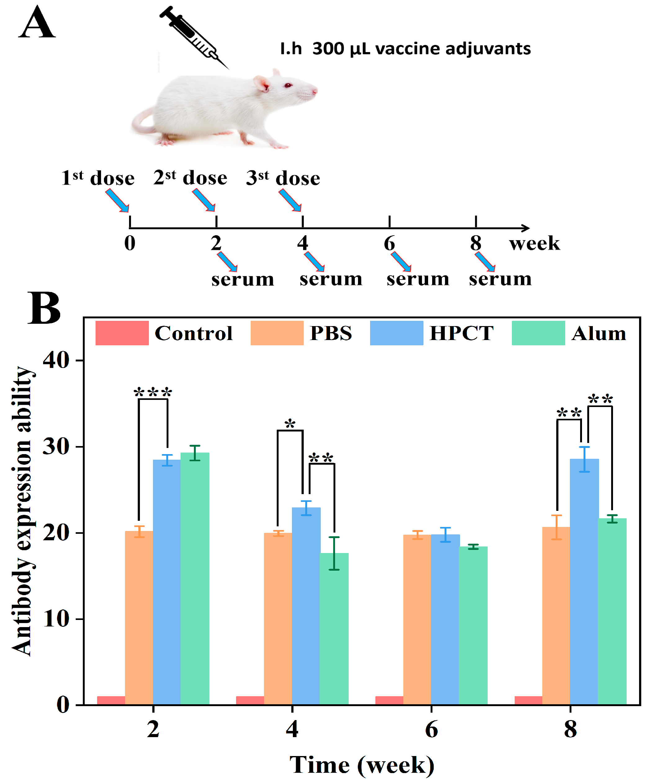 Polymers 16 02815 g007