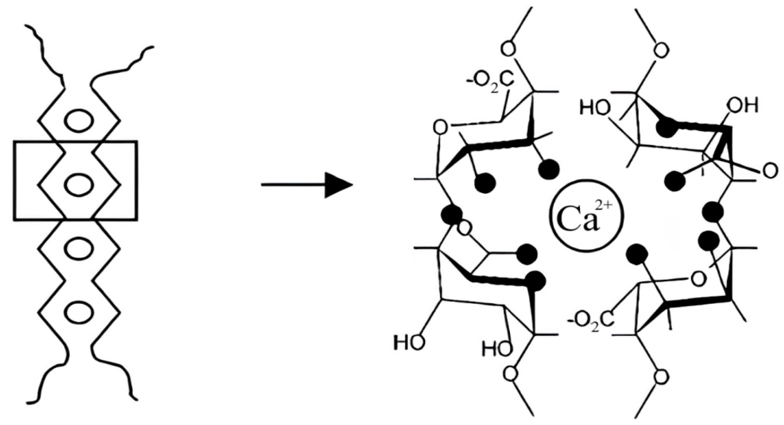 Polymers 16 02819 g007