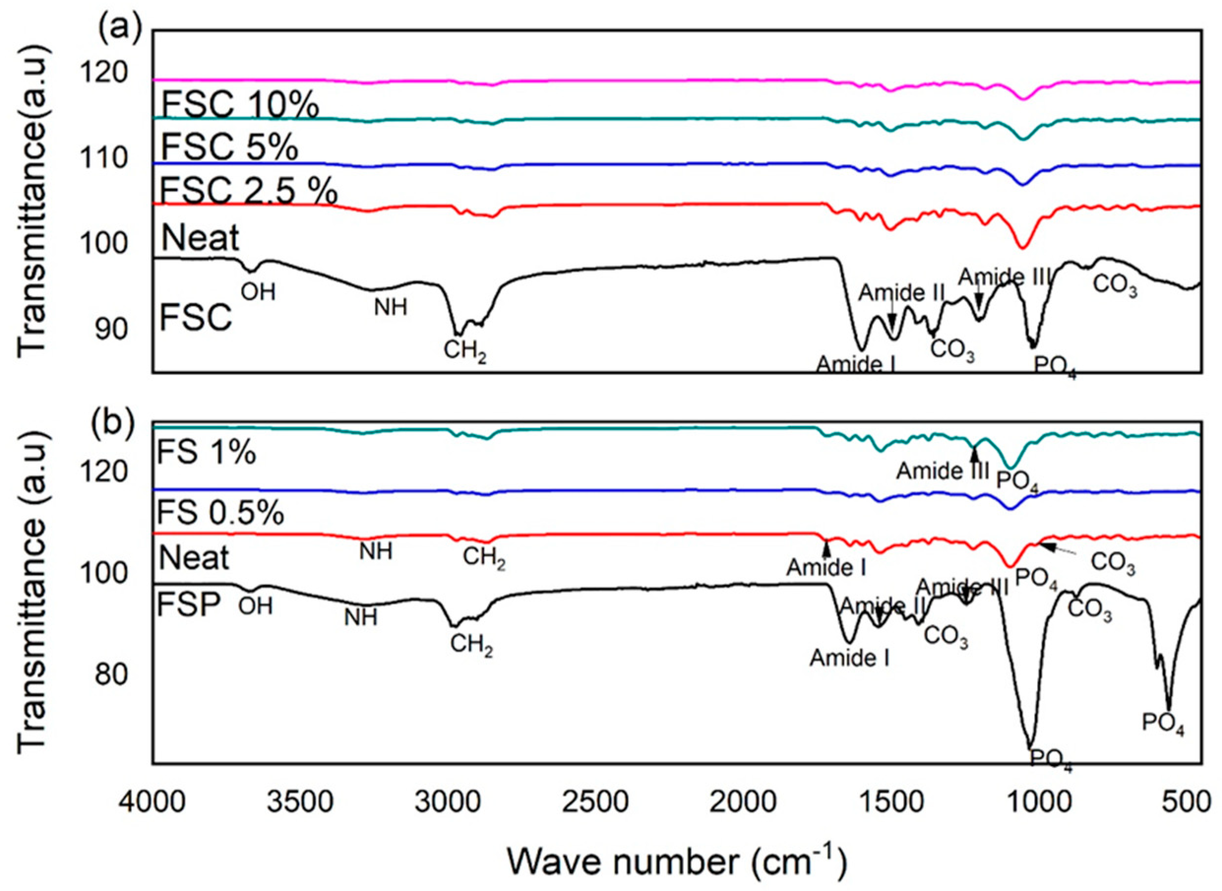 Polymers 16 02825 g006
