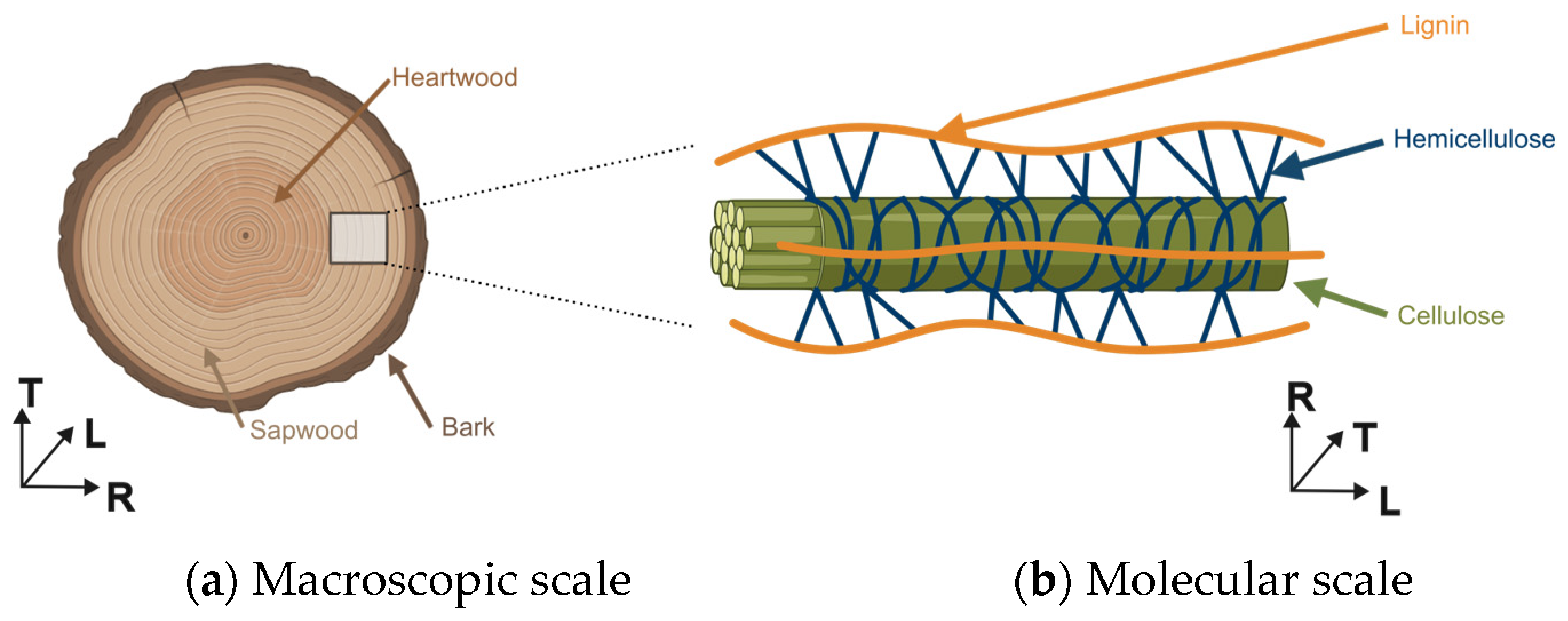Polymers 16 02827 g003