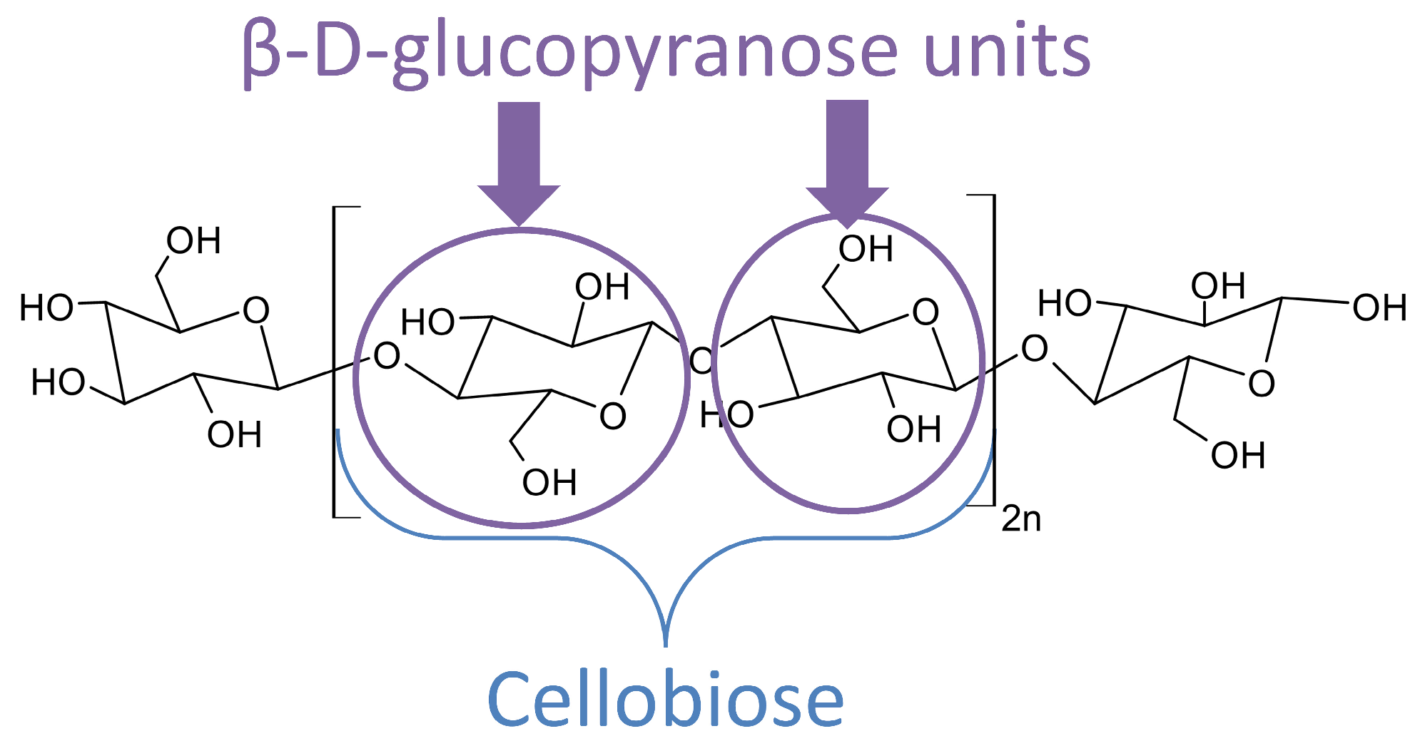 Polymers 16 02827 g004