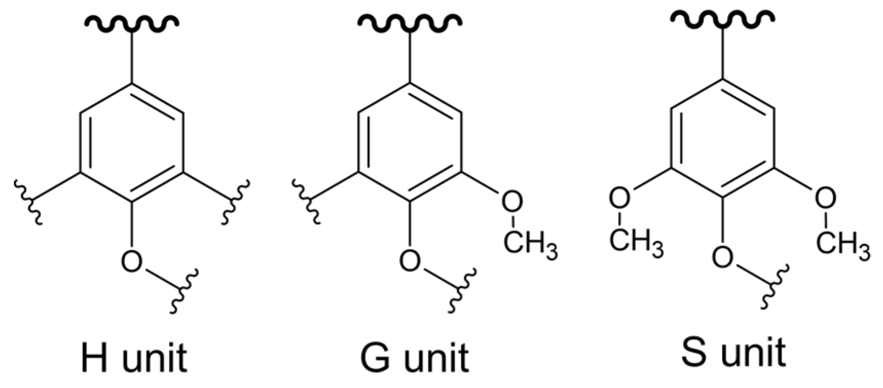 Polymers 16 02827 g006