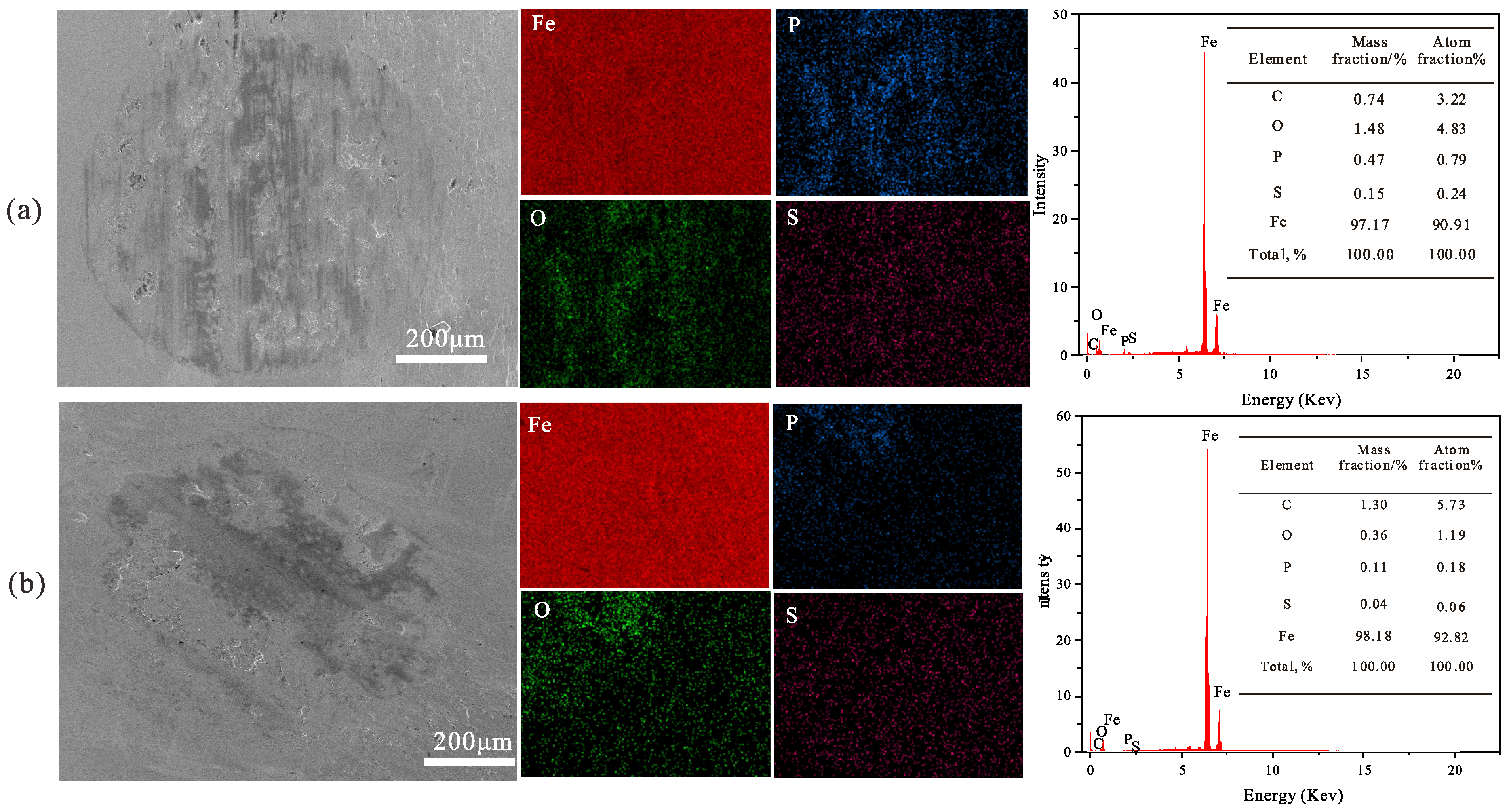 Polymers 16 02828 g017