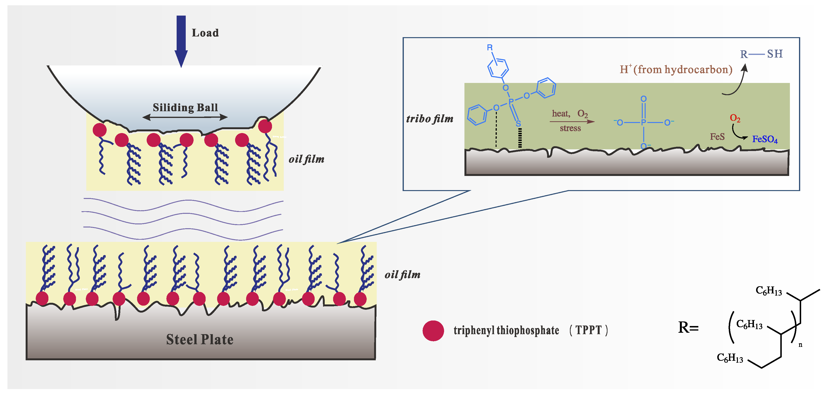 Polymers 16 02828 g019