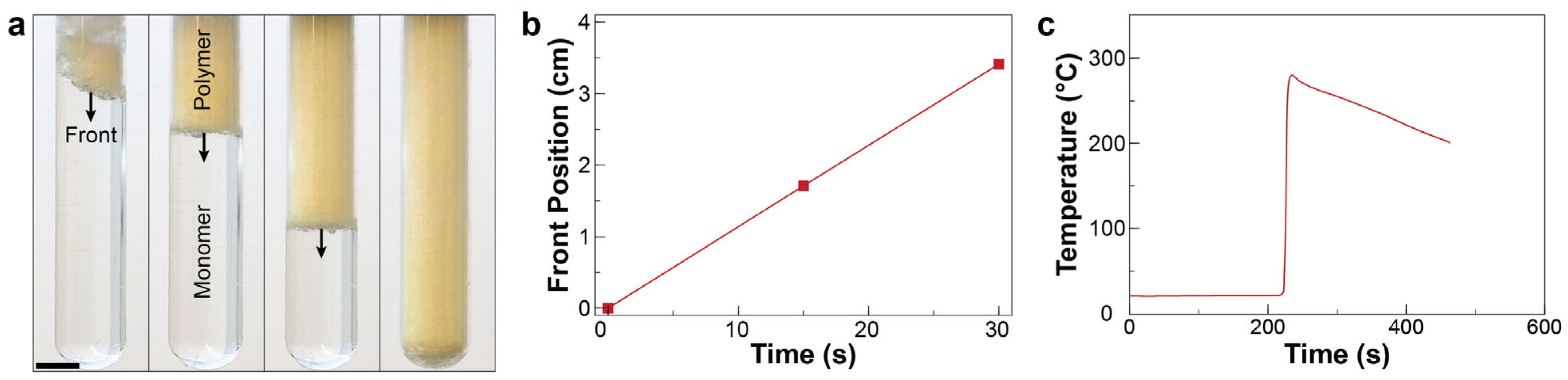 Polymers 16 02830 g002