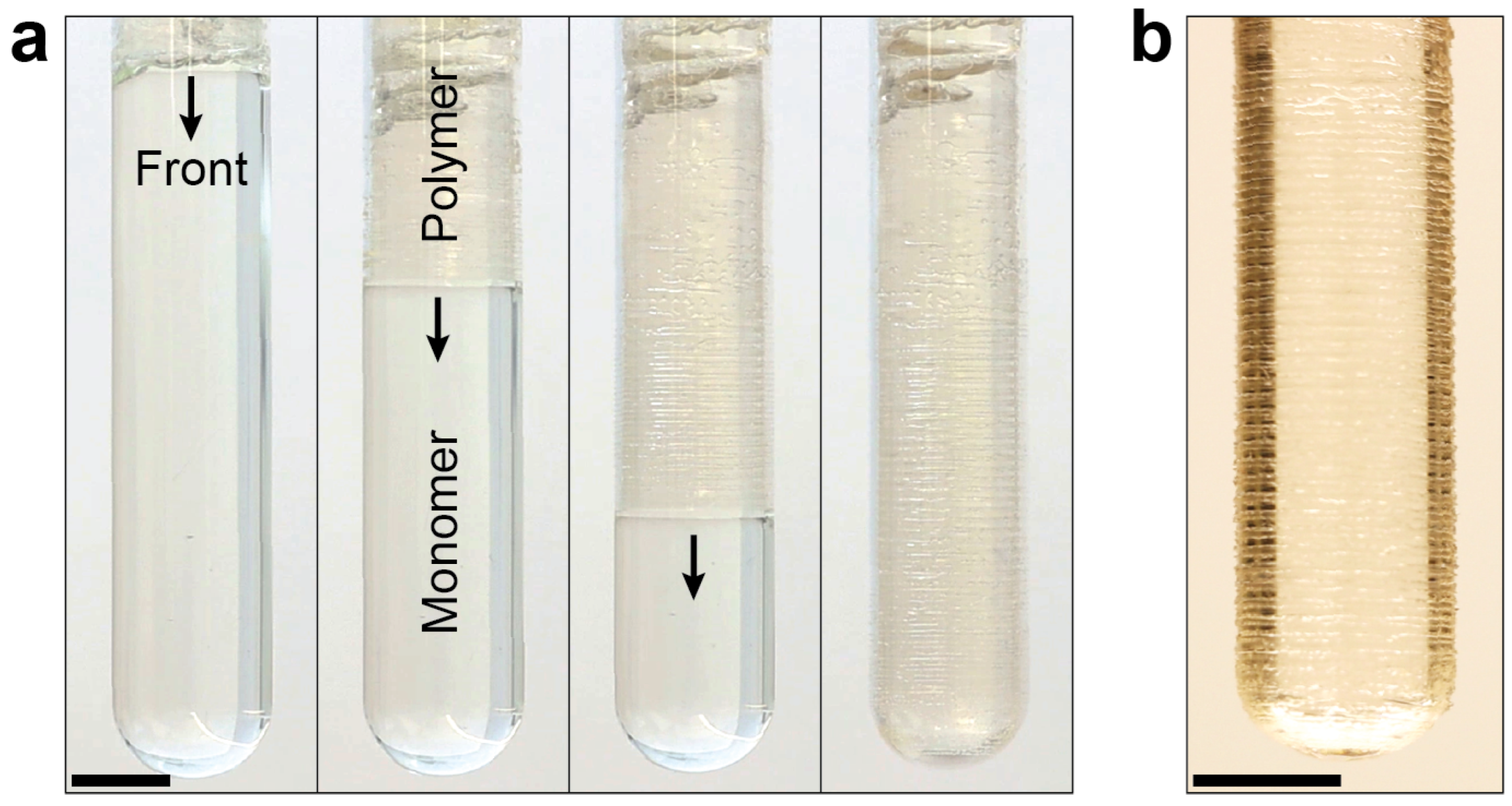Polymers 16 02830 g004