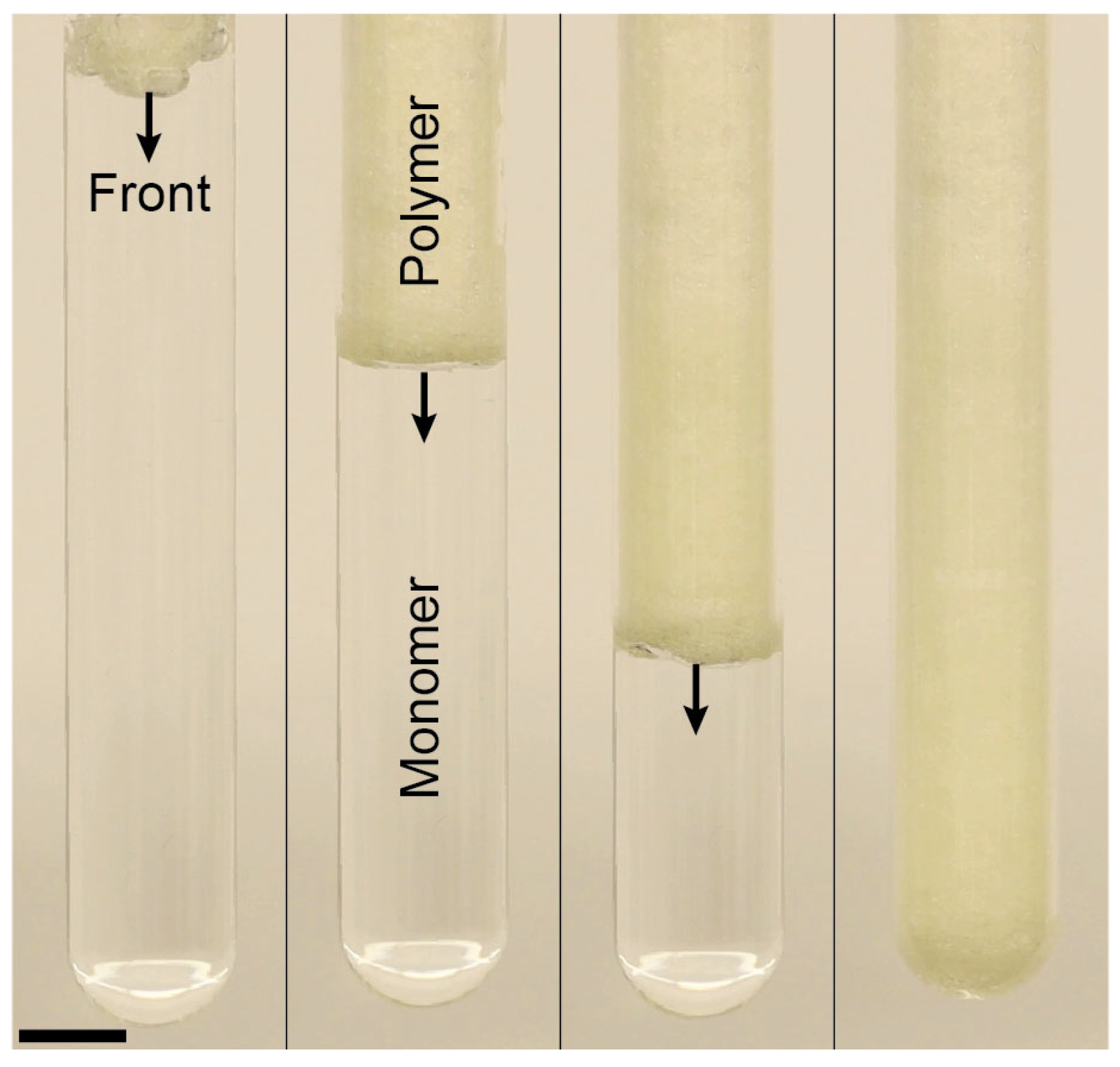 Polymers 16 02830 g007