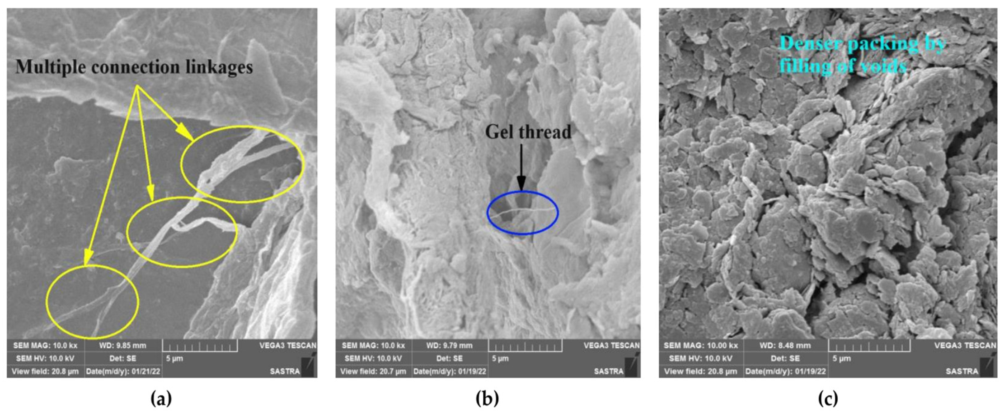 Polymers 16 02831 g009