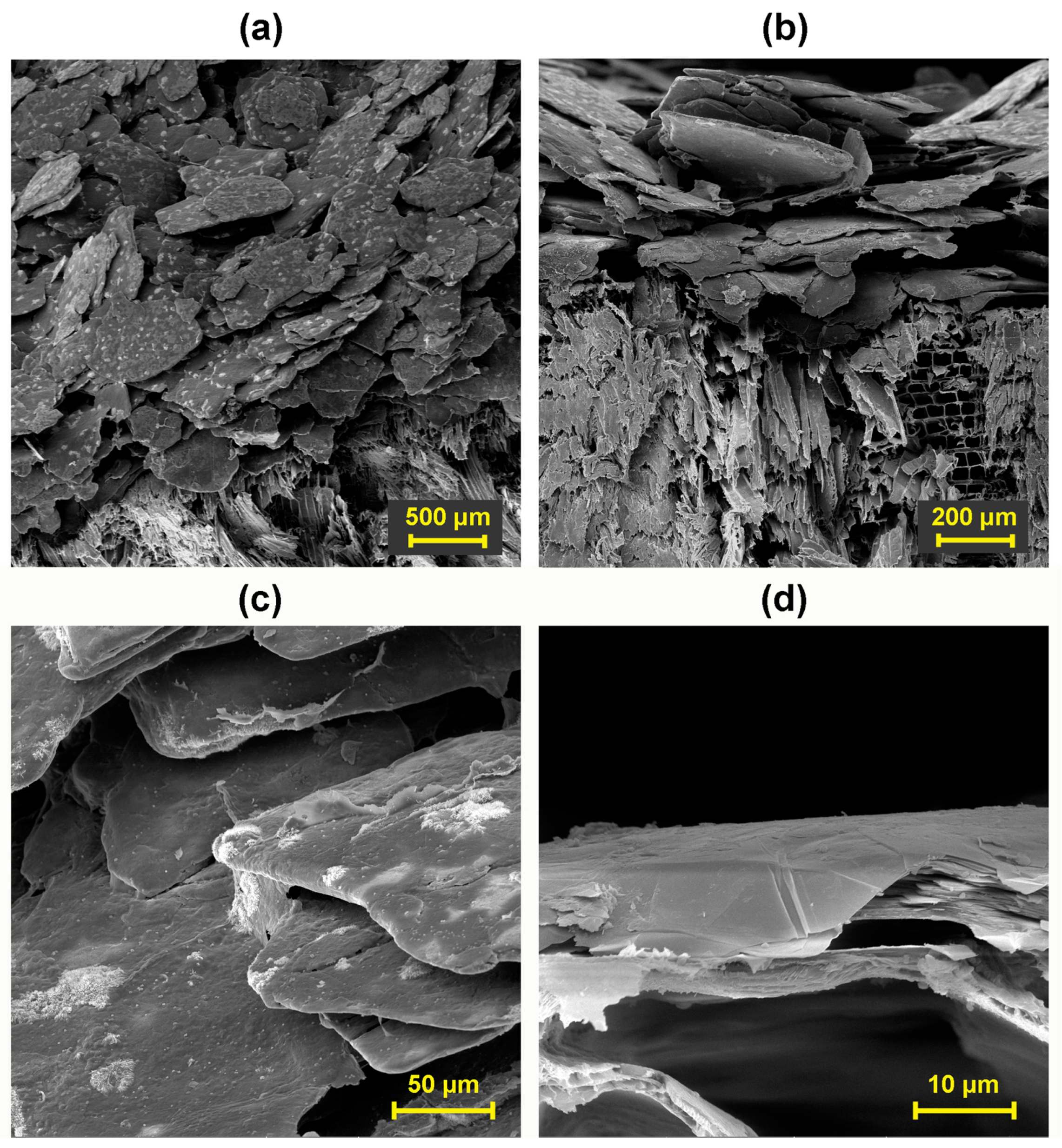 Polymers 16 02832 g010