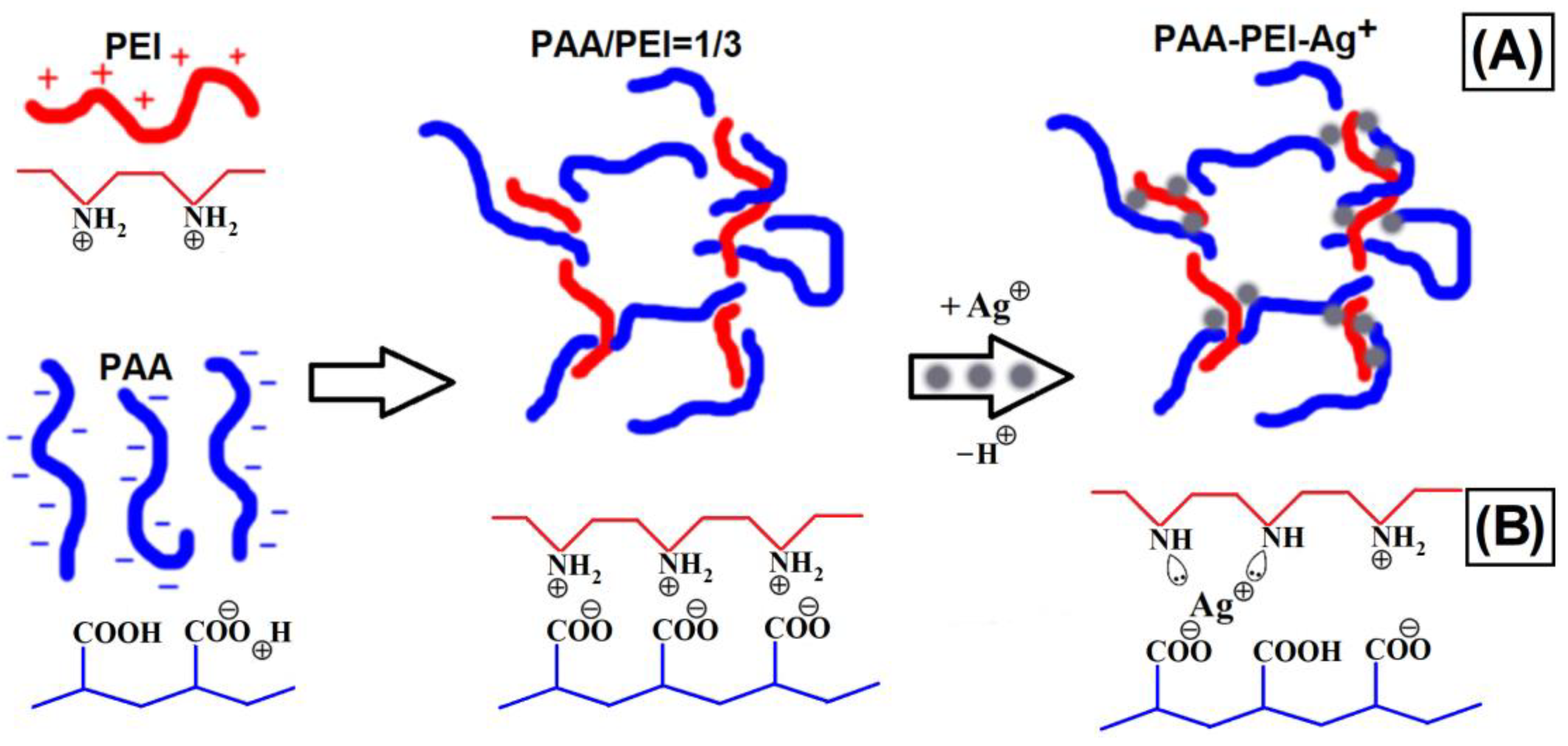 Polymers 16 02842 g002