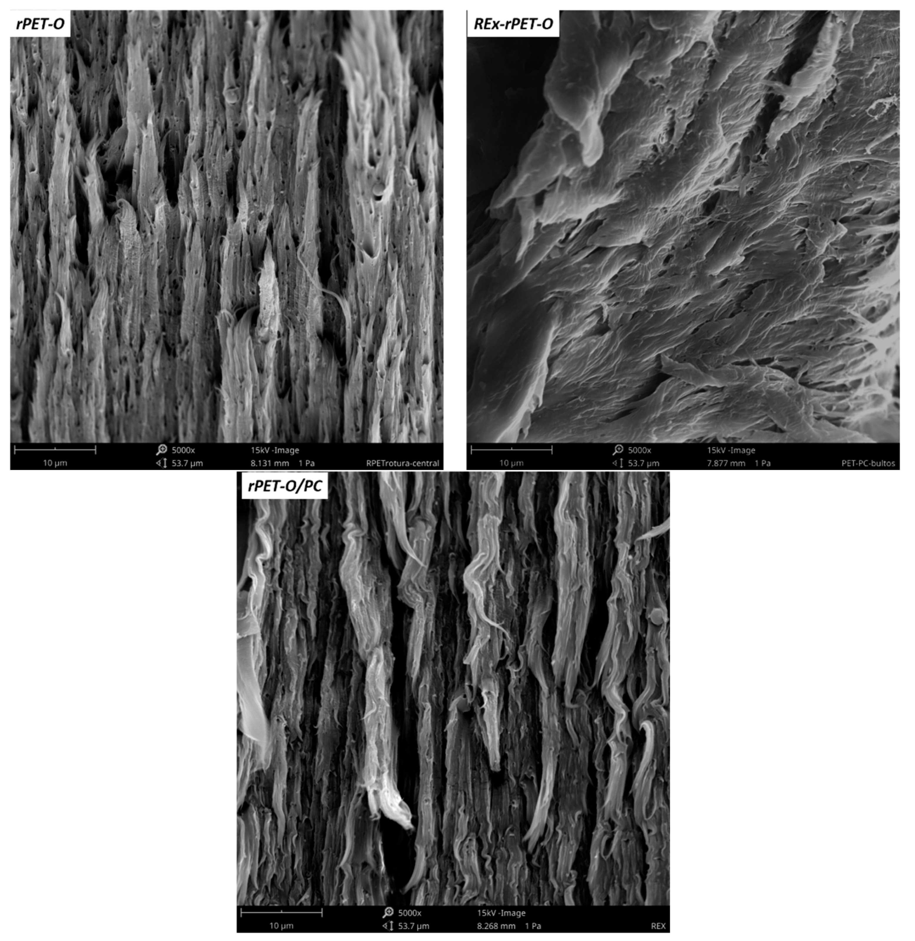 Polymers 16 02843 g005