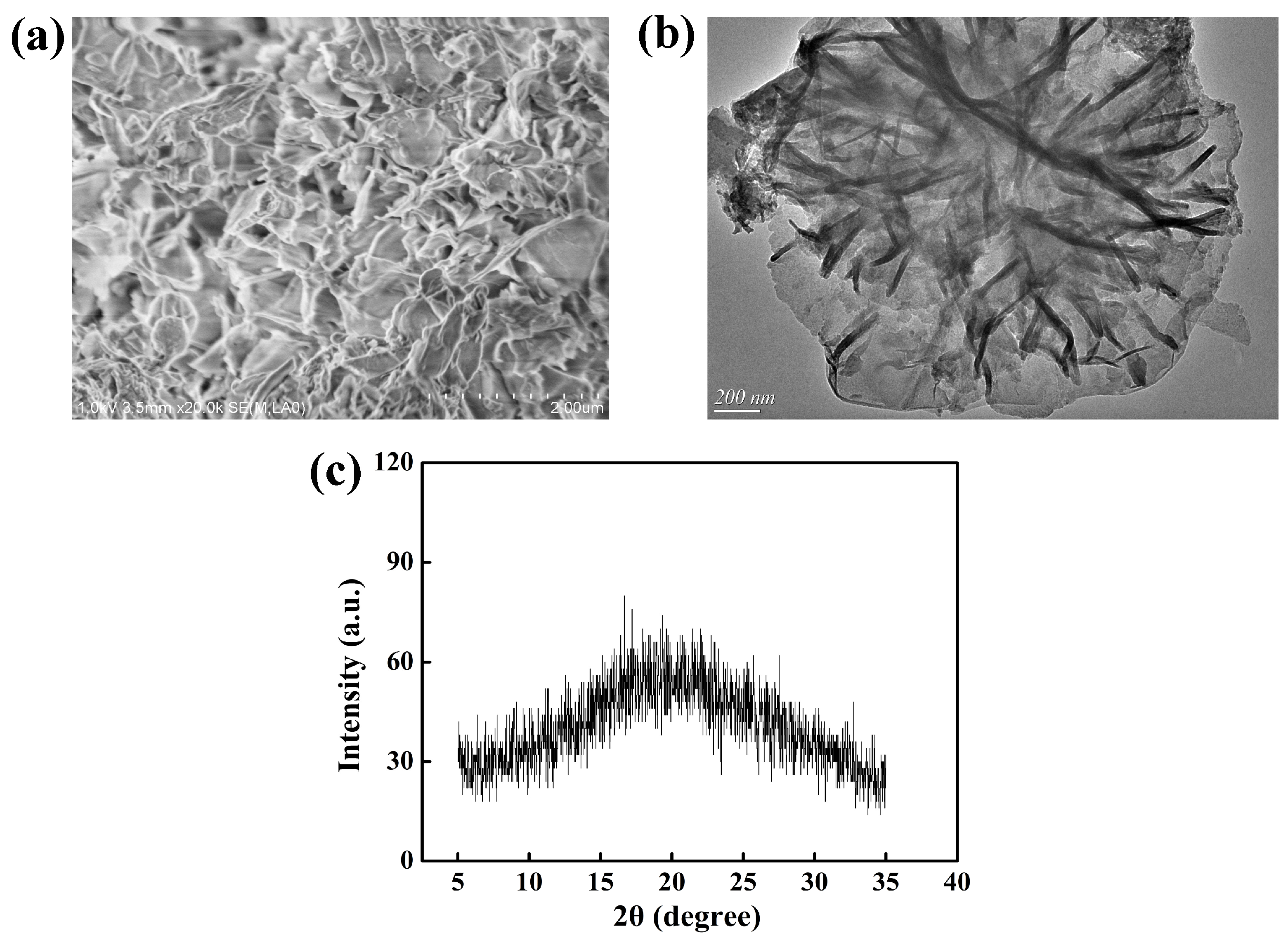 Polymers 16 02846 g002