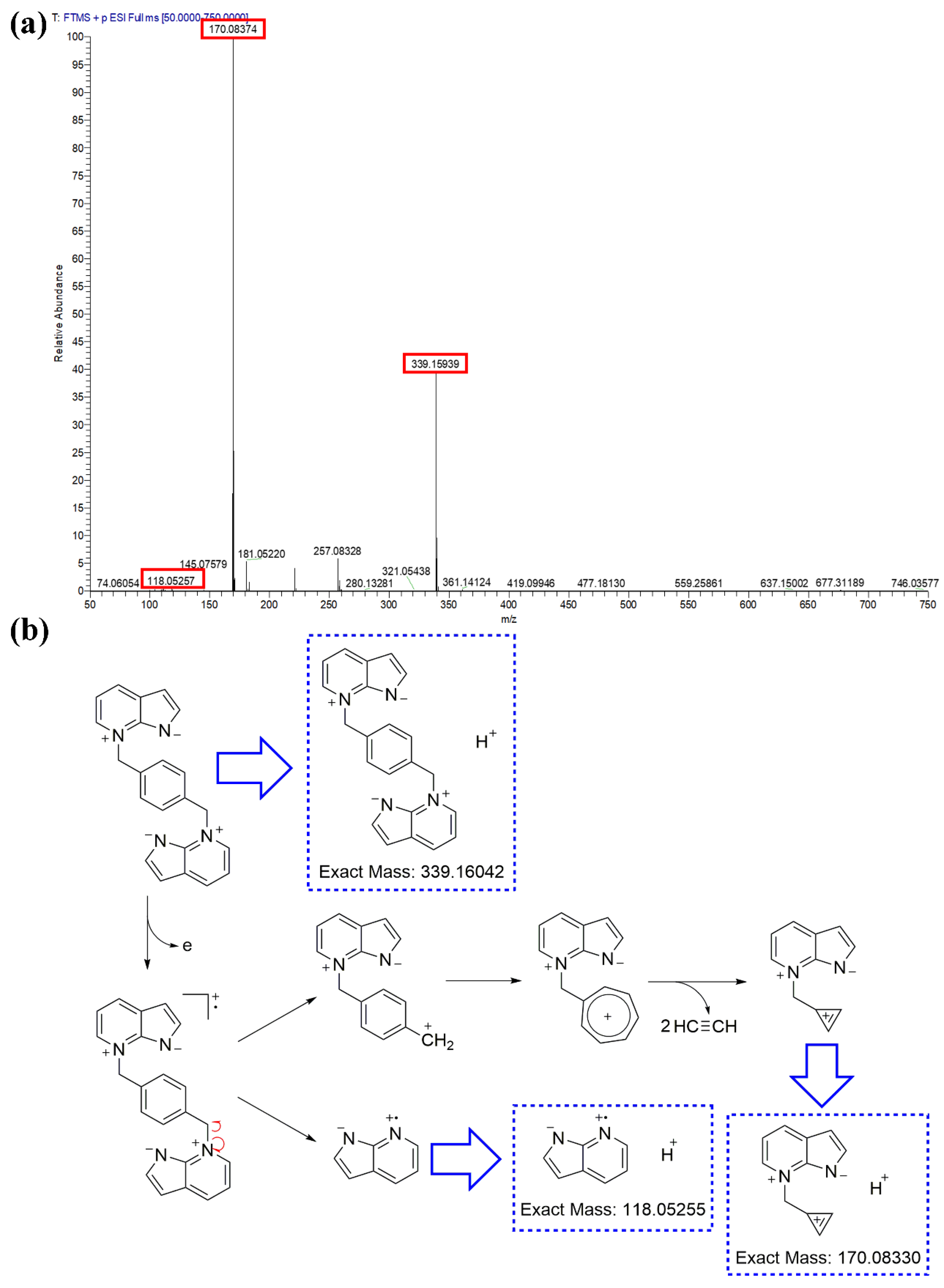 Polymers 16 02846 g005
