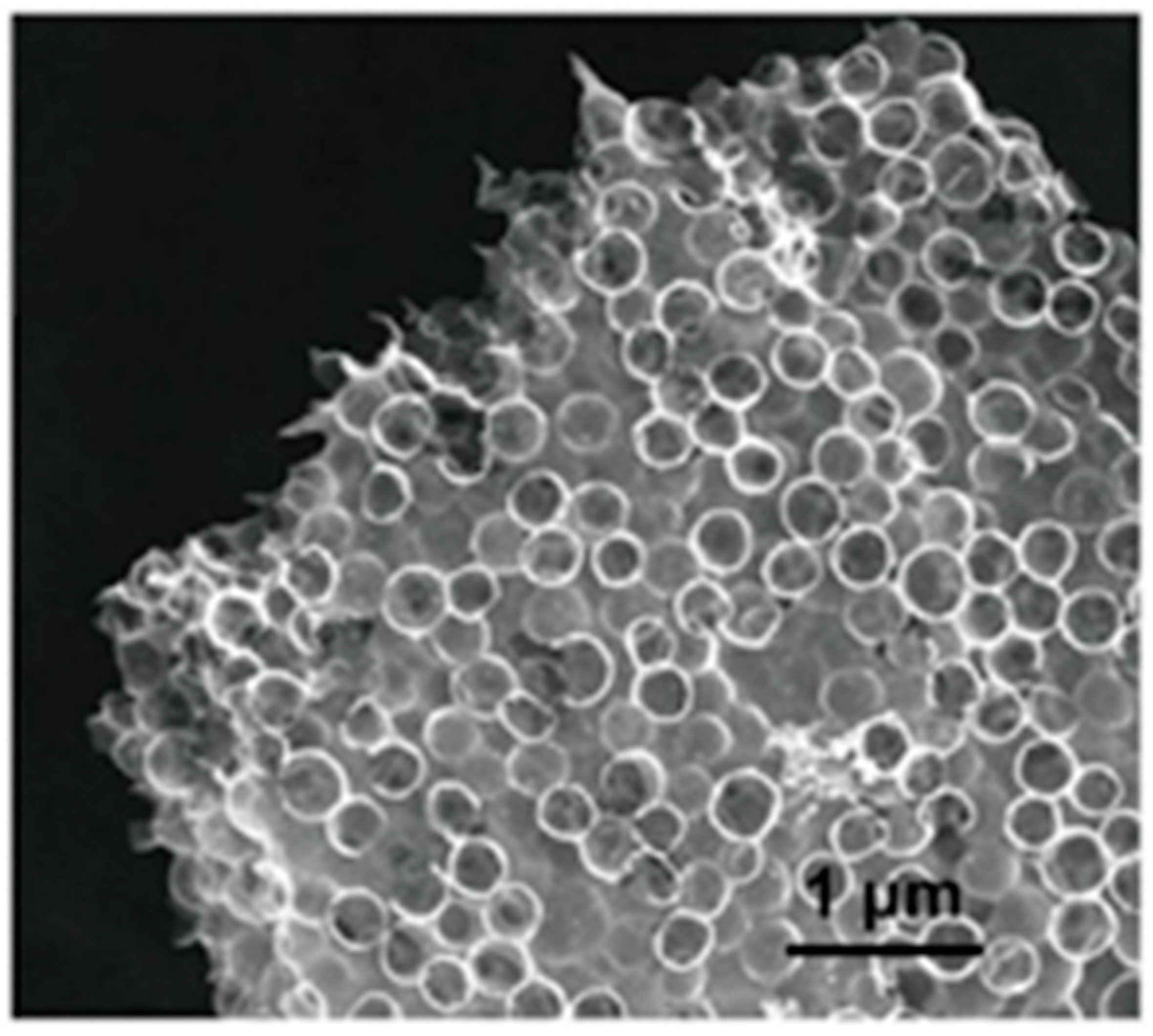 Polymers 16 02848 g003