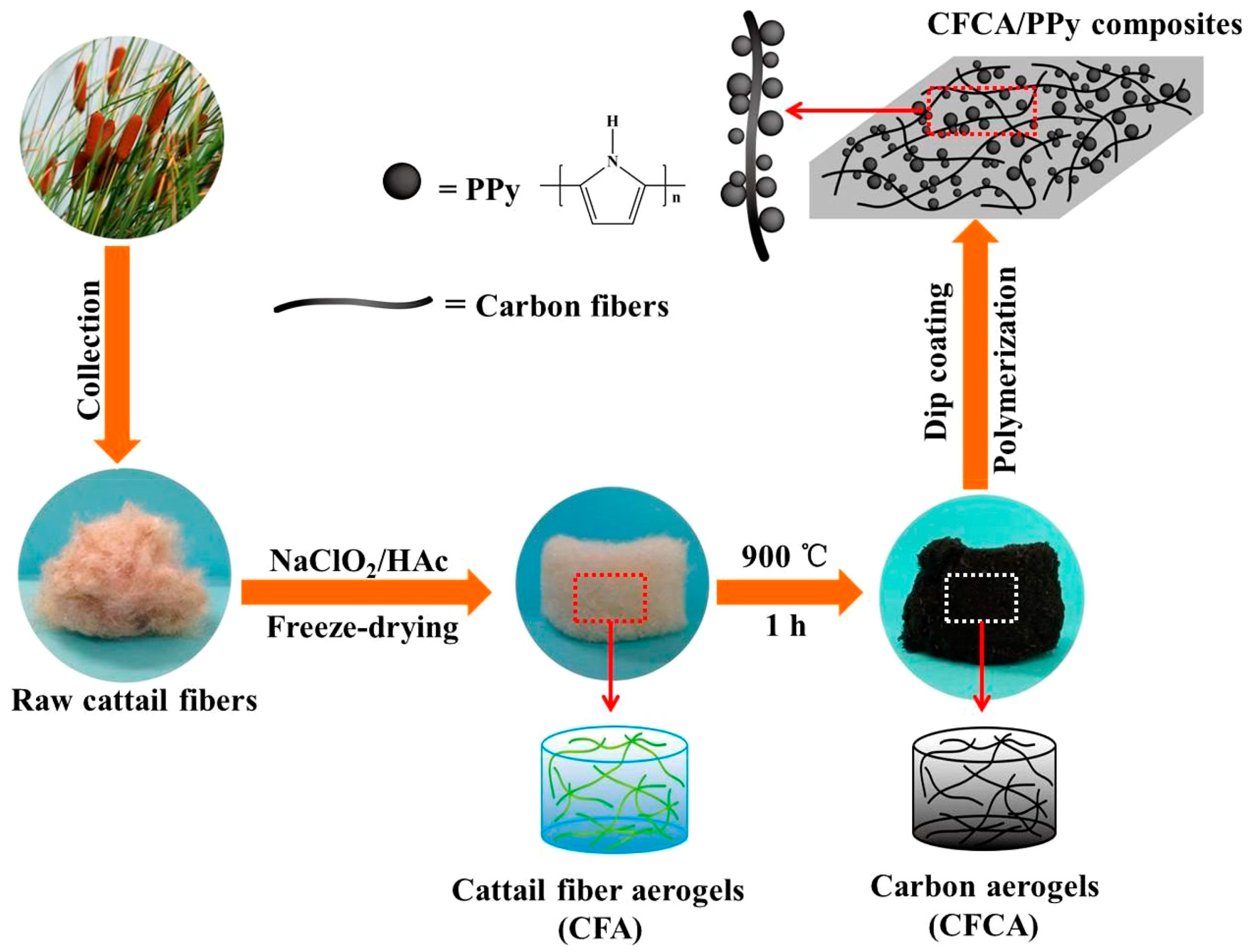 Polymers 16 02848 g007