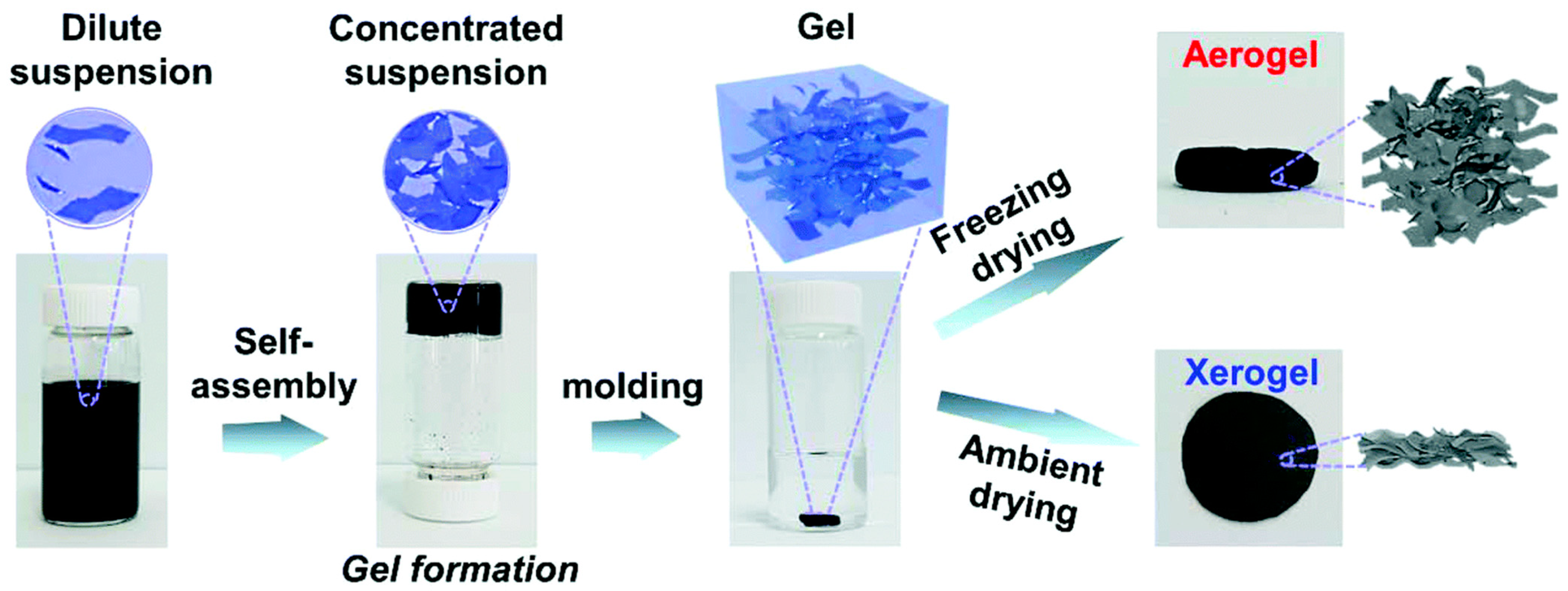 Polymers 16 02848 g010