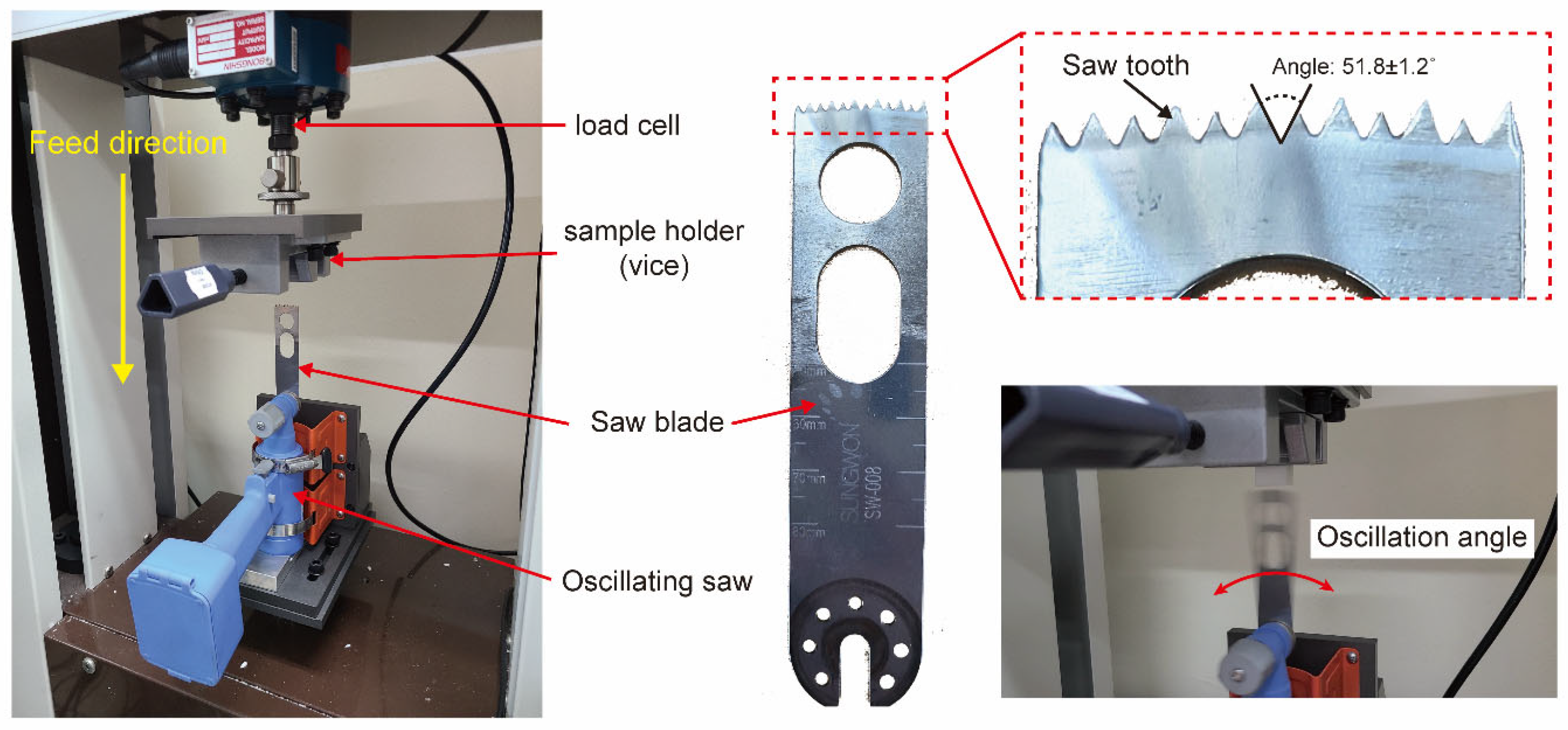 Polymers 16 02849 g002