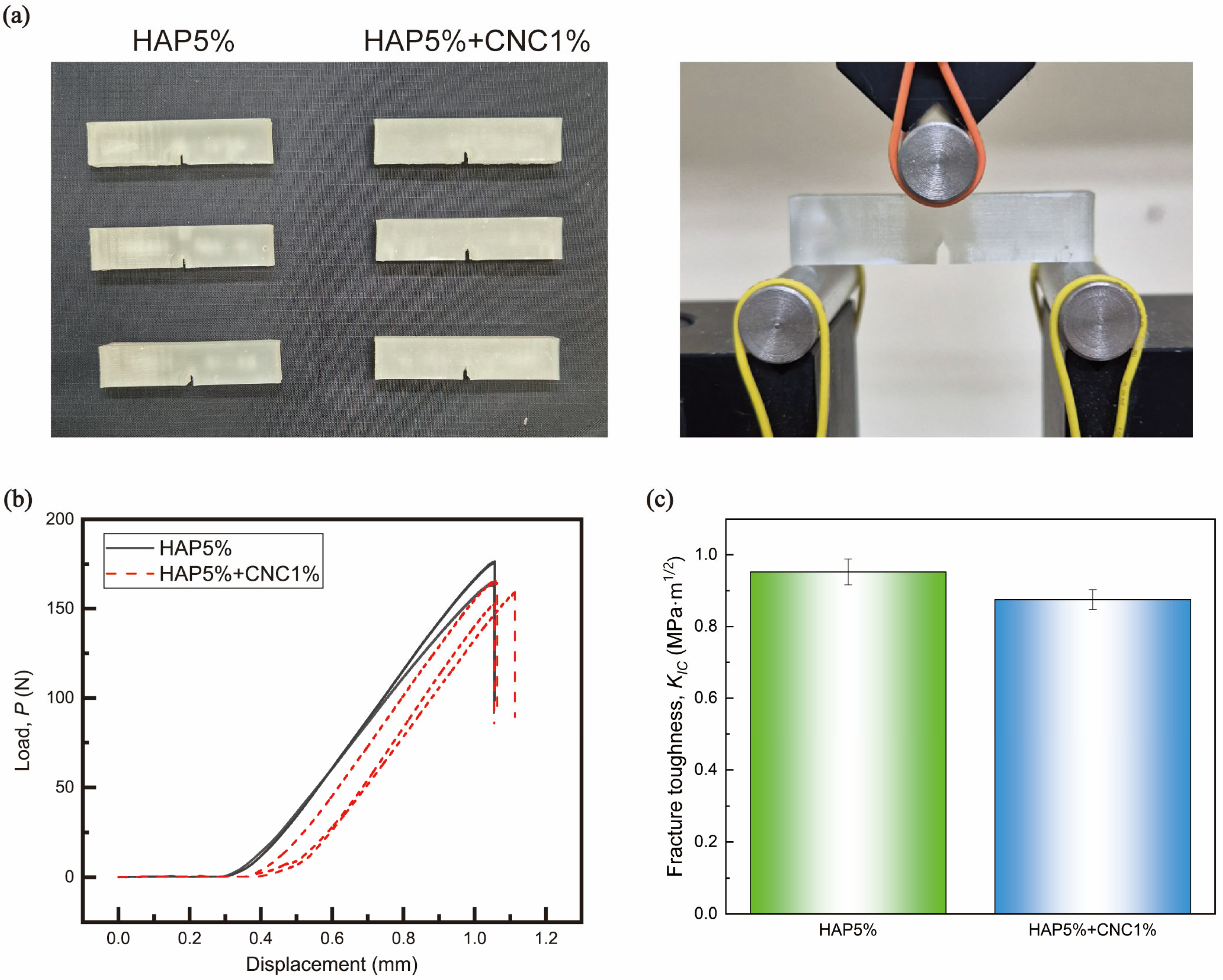 Polymers 16 02849 g006