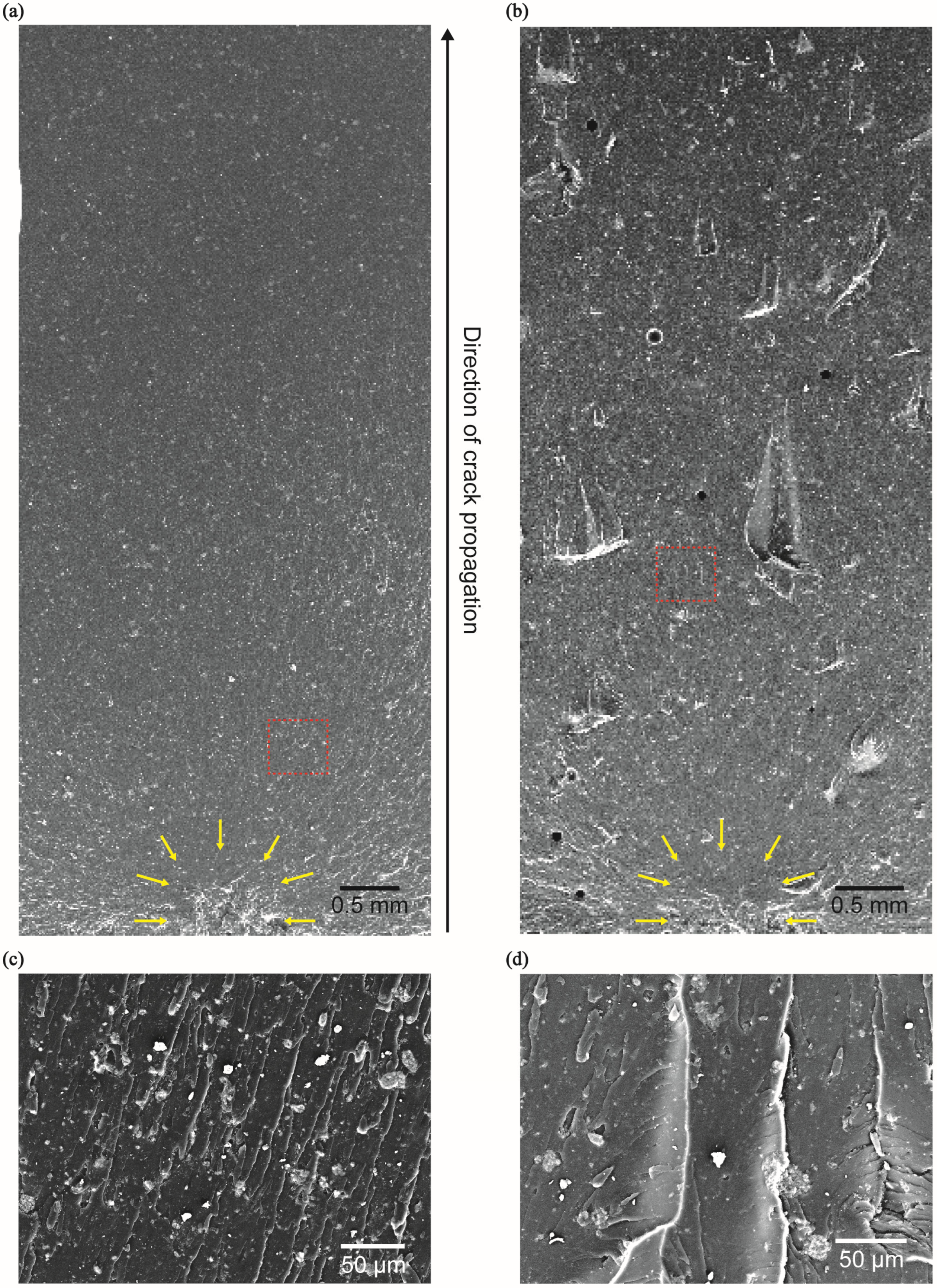Polymers 16 02849 g007