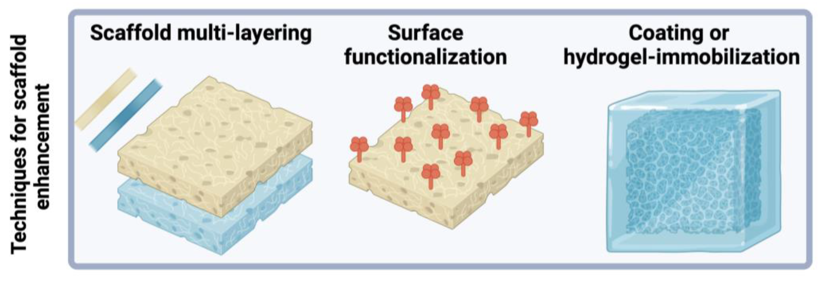 Polymers 16 02853 g008