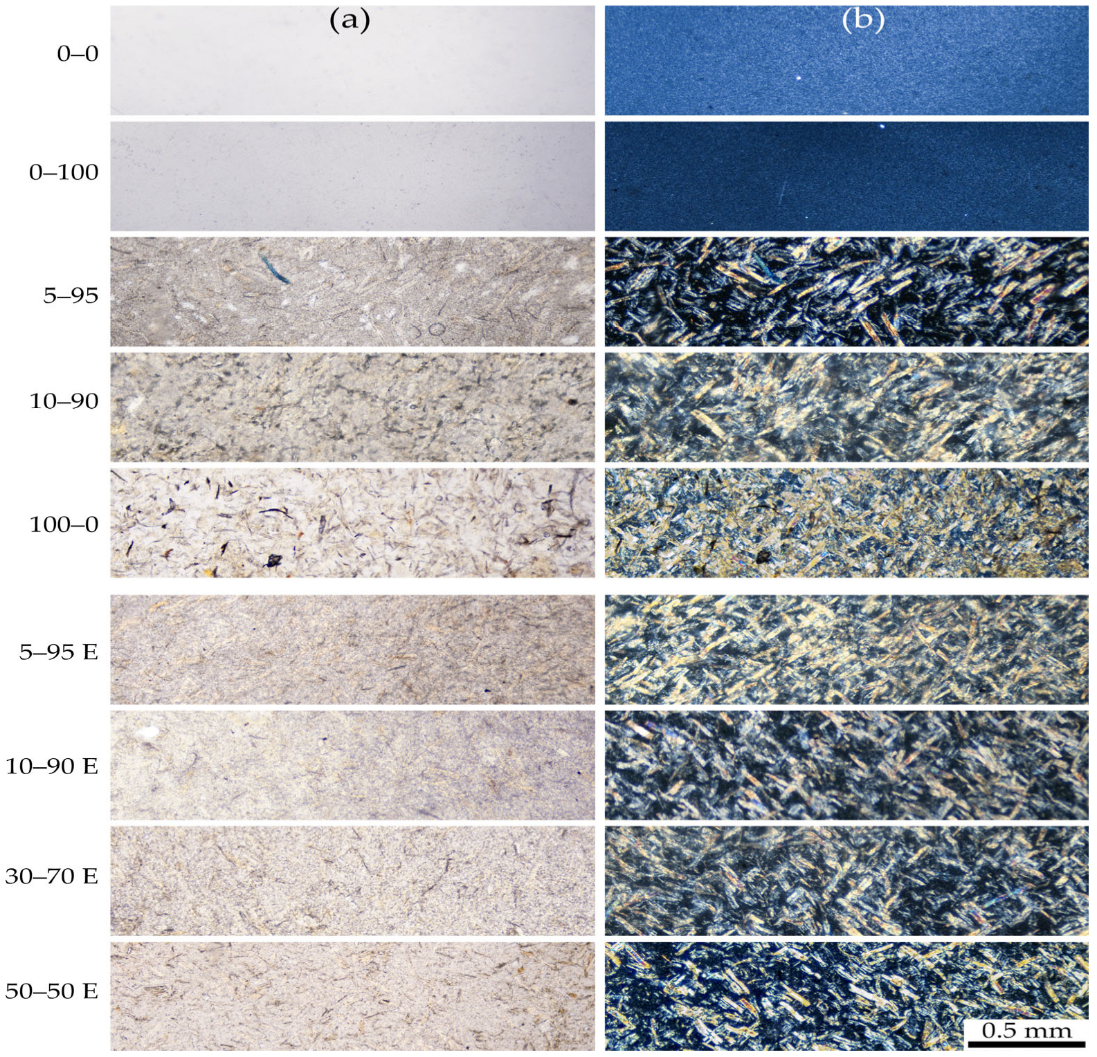 Polymers 16 02855 g004