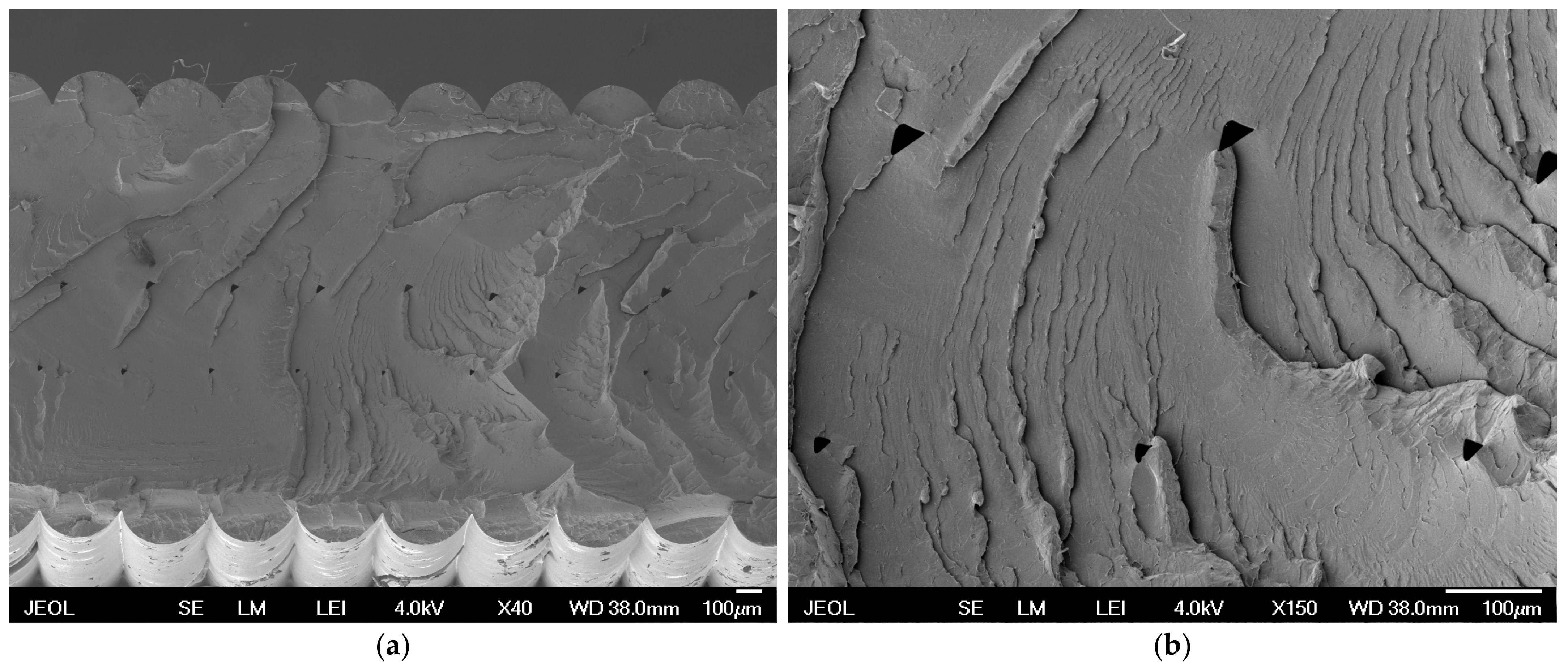 Polymers 16 02862 g007