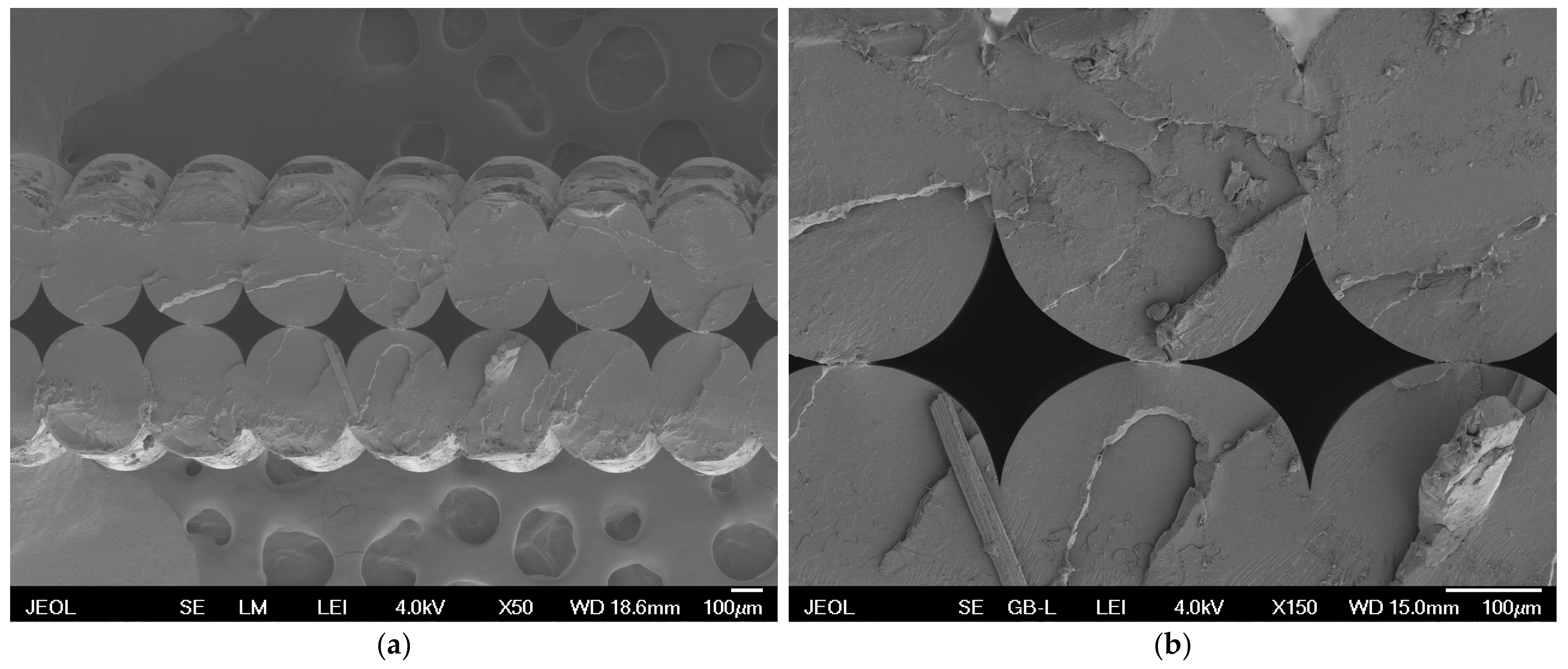 Polymers 16 02862 g009