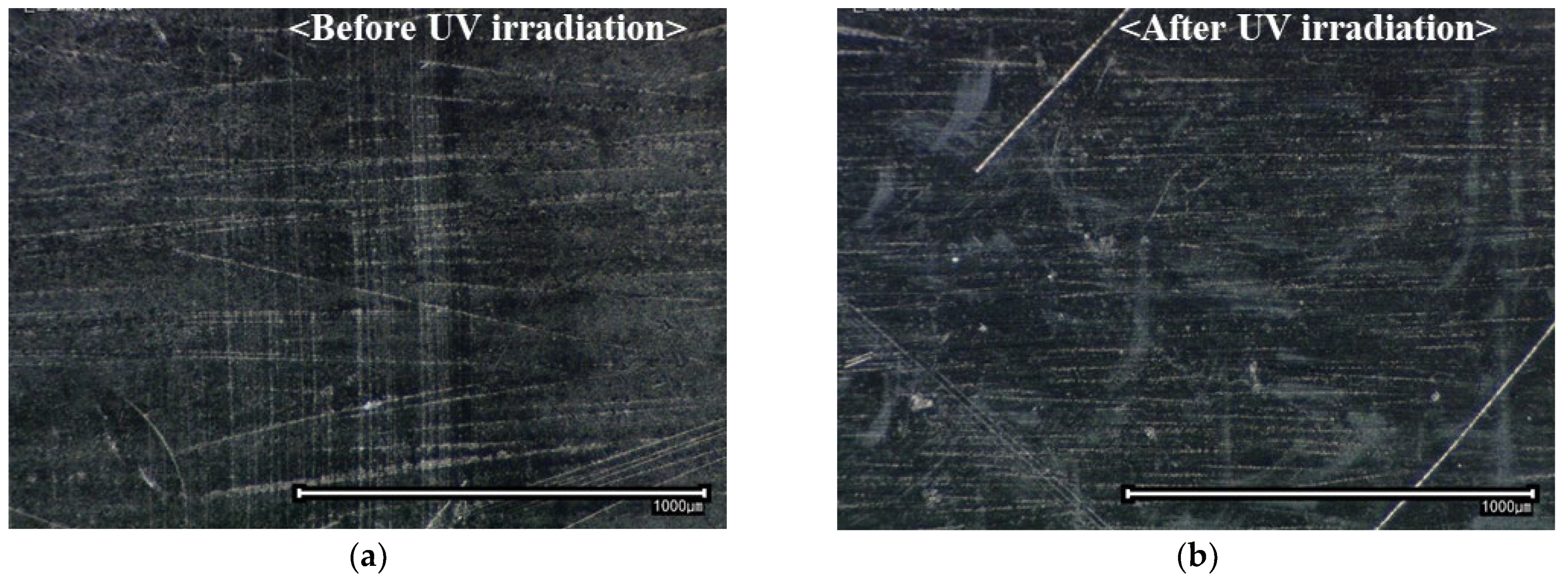 Polymers 16 02864 g002