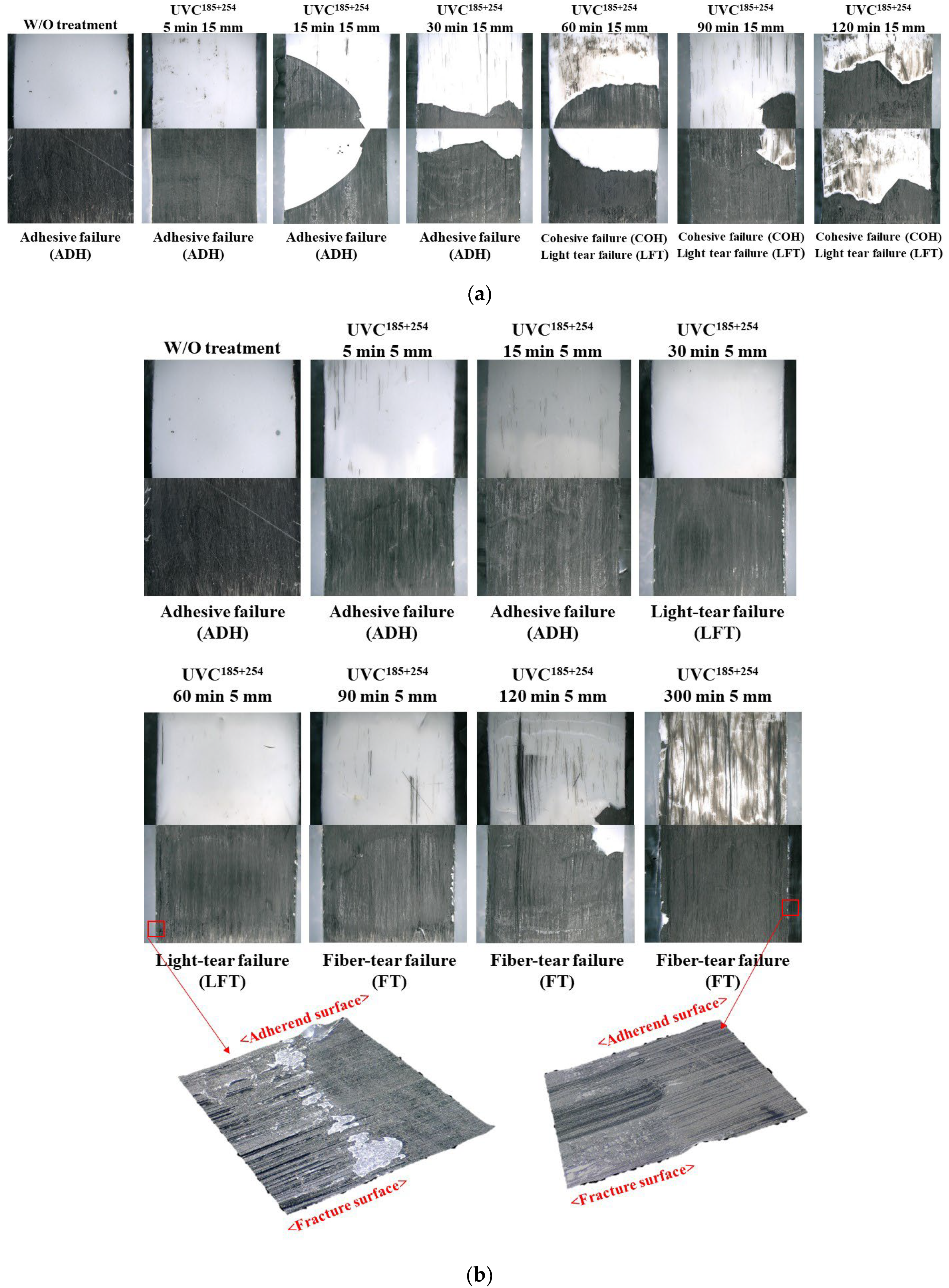 Polymers 16 02864 g010
