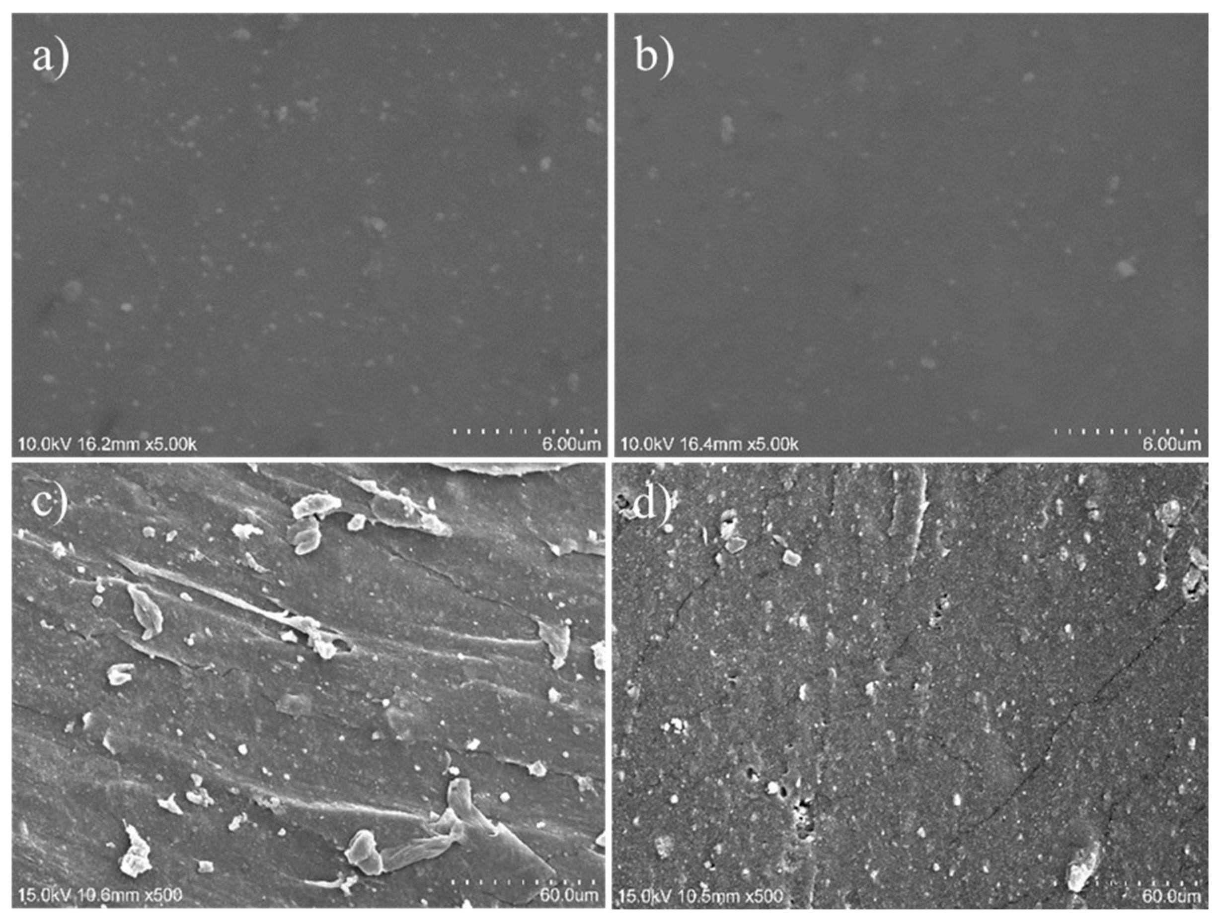Polymers 16 02866 g008