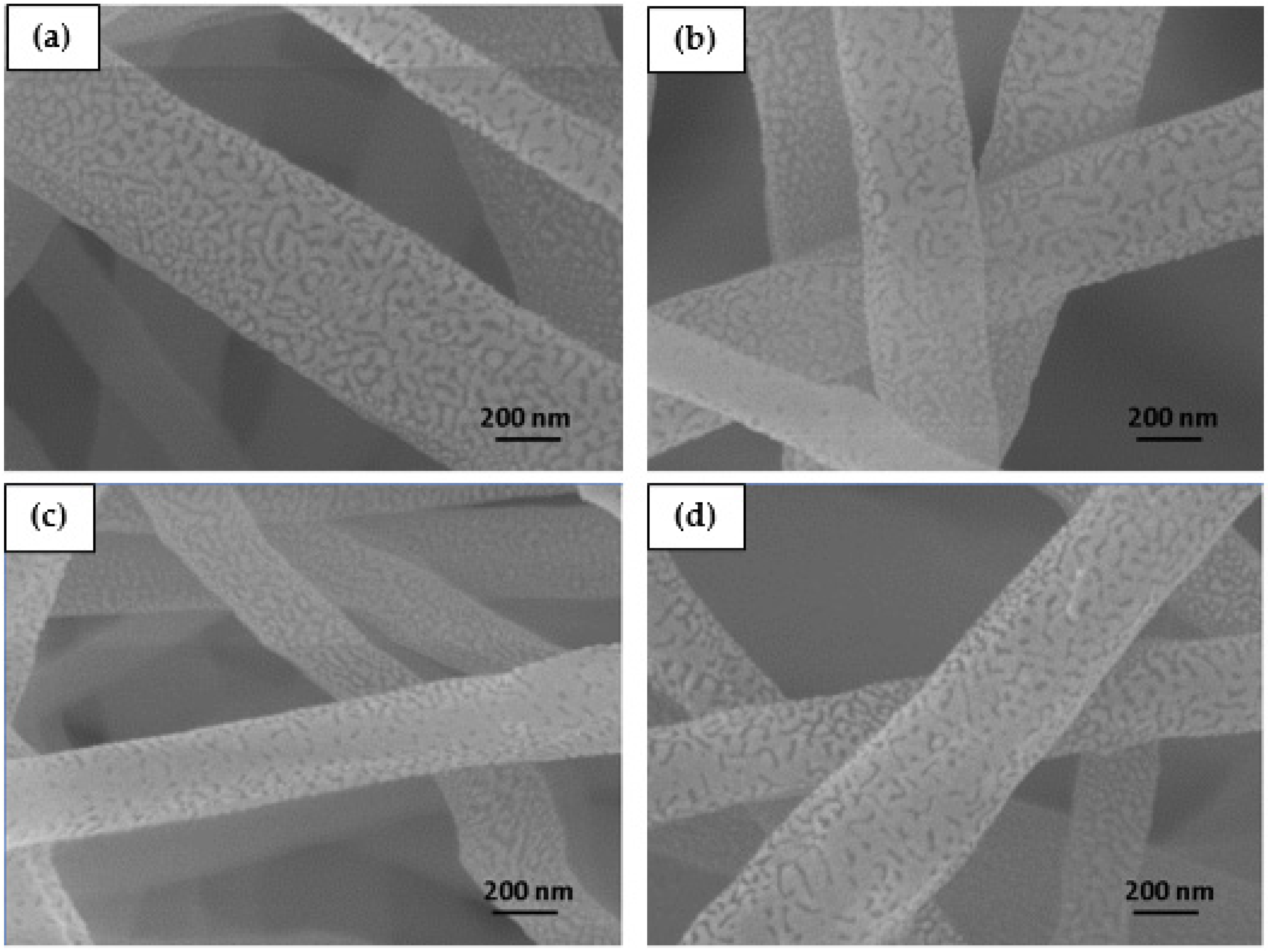 Polymers 16 02867 g006