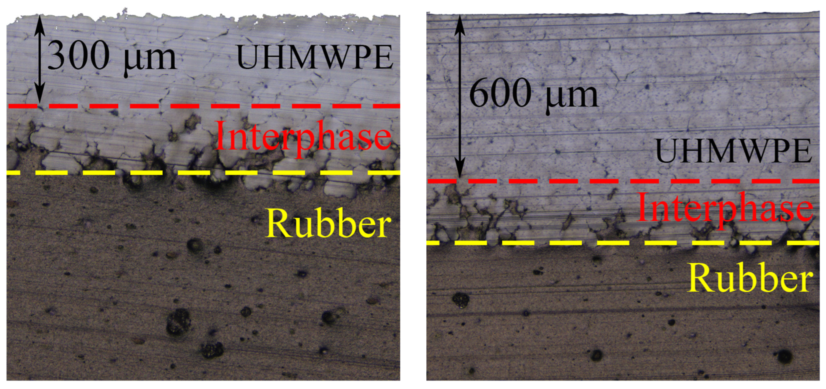Polymers 16 02870 g001