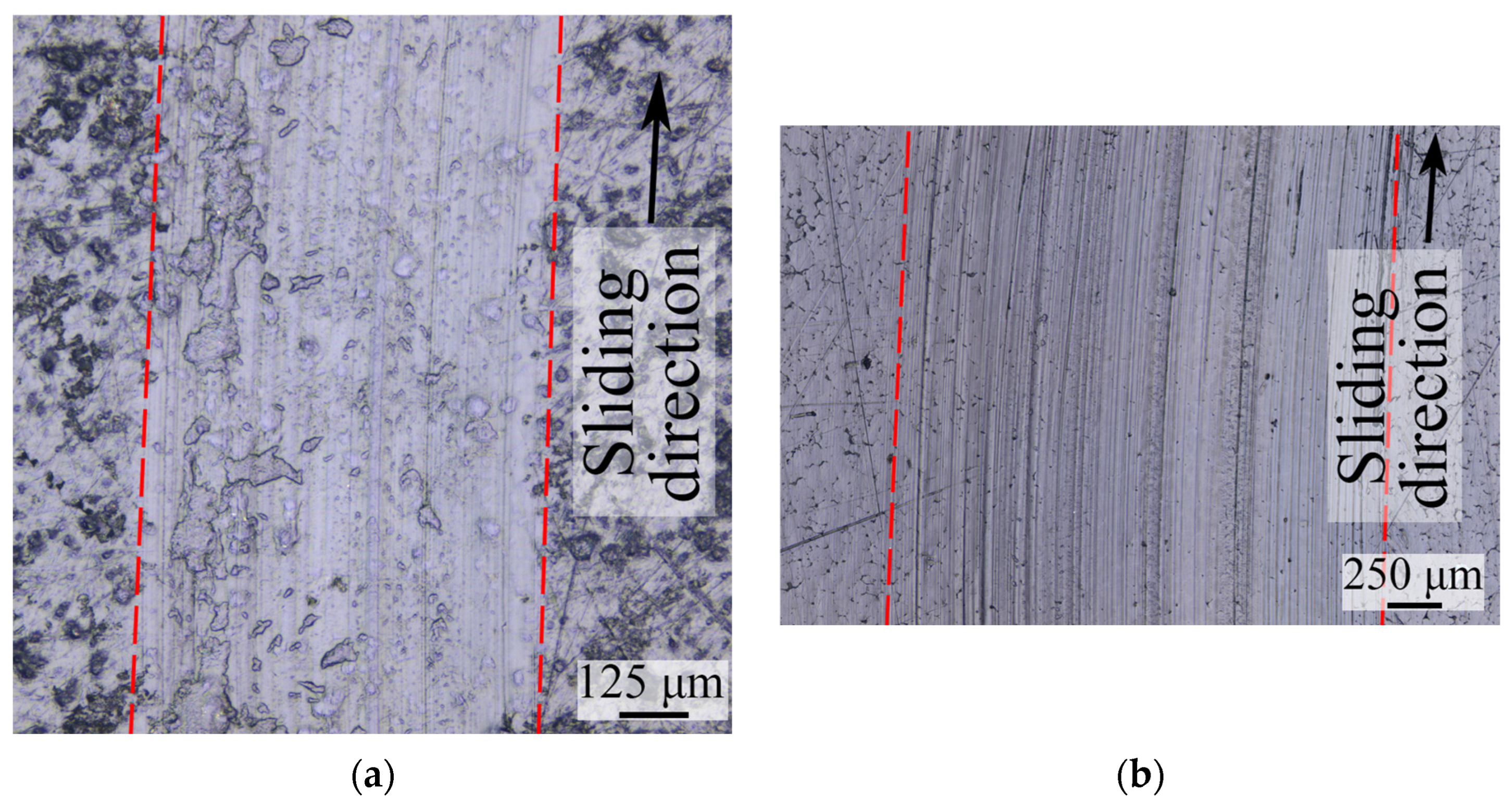 Polymers 16 02870 g002