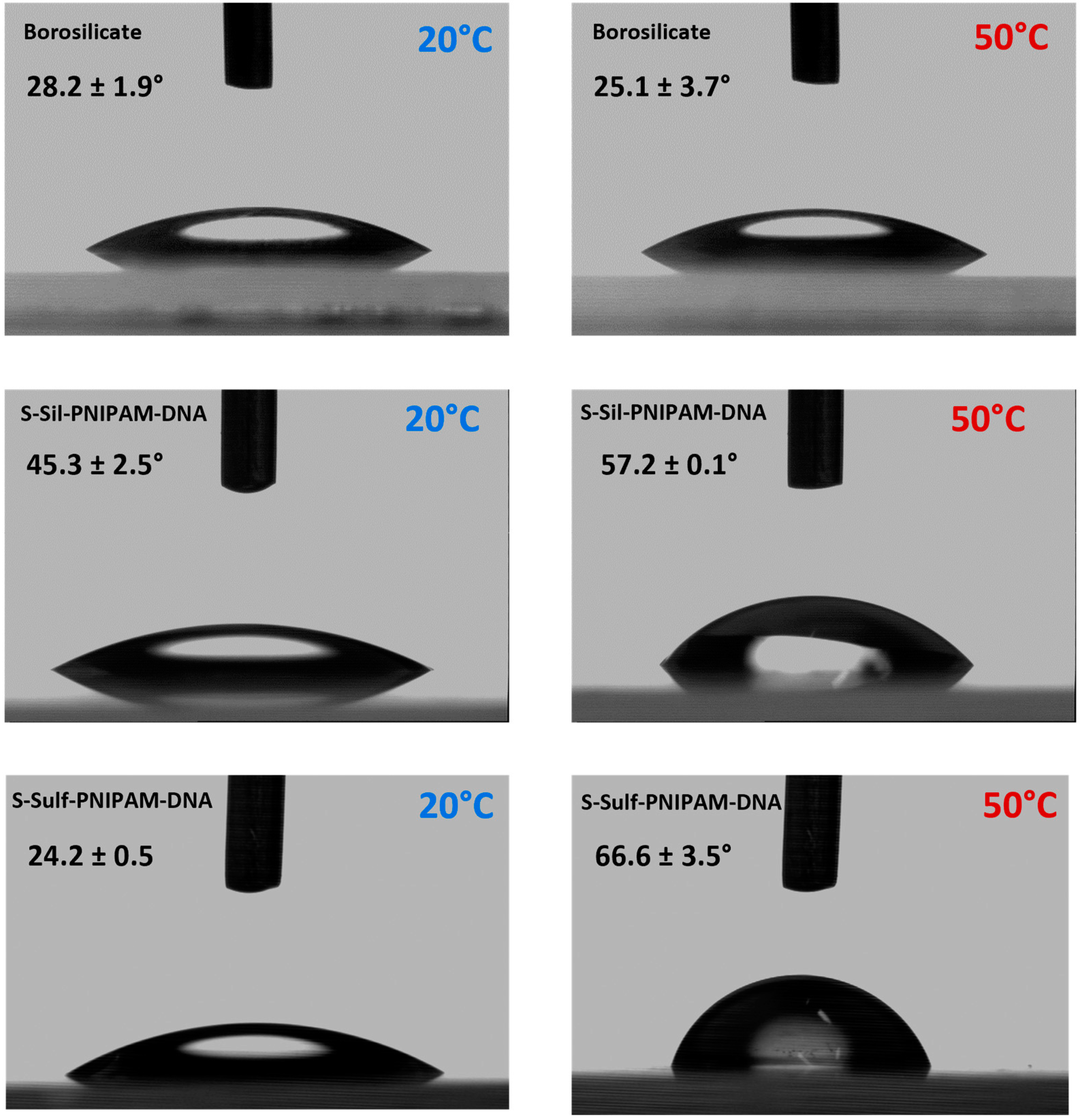 Polymers 16 02873 g005 Polymers 16 02873 g005