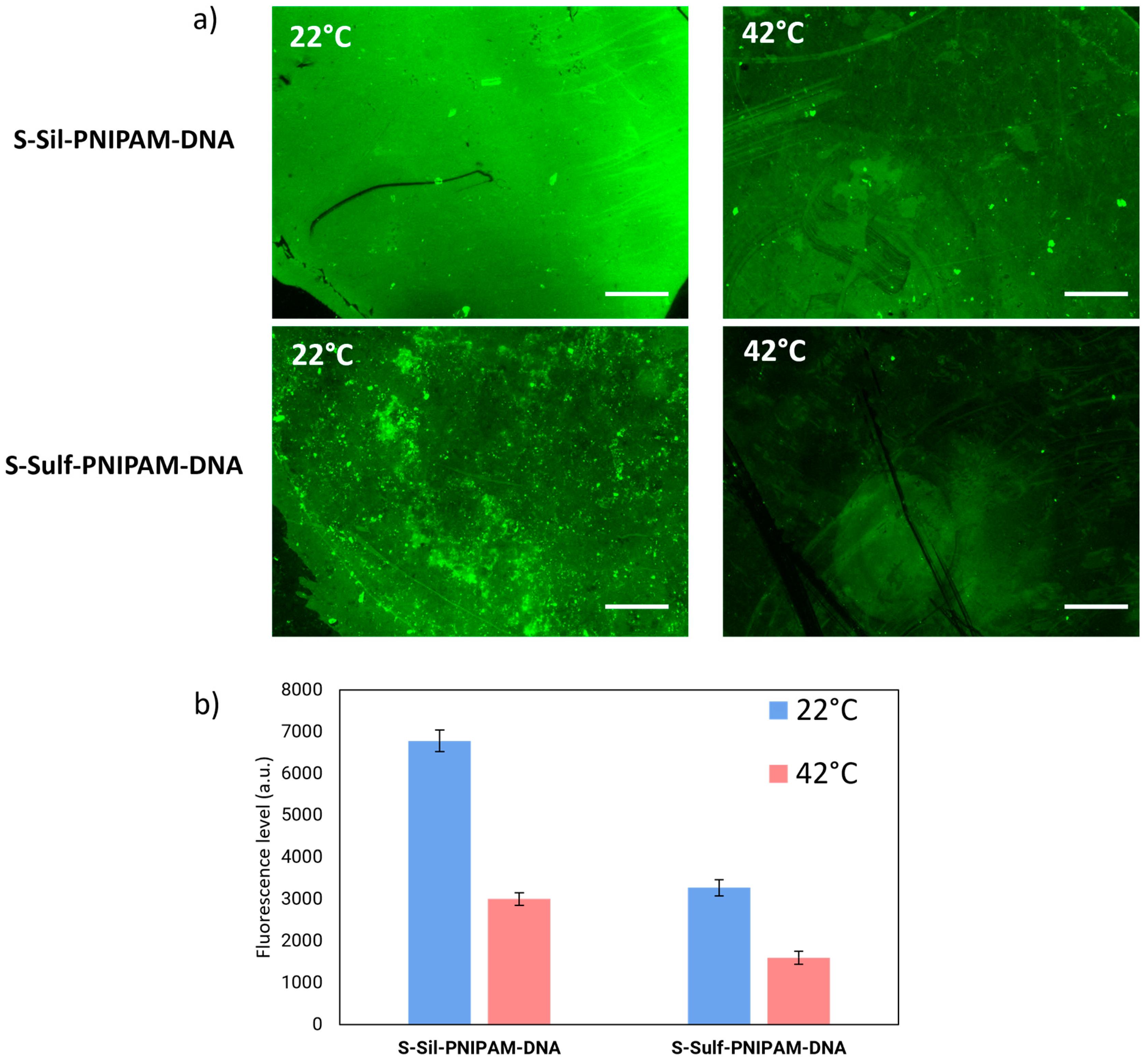 Polymers 16 02873 g006 Polymers 16 02873 g006