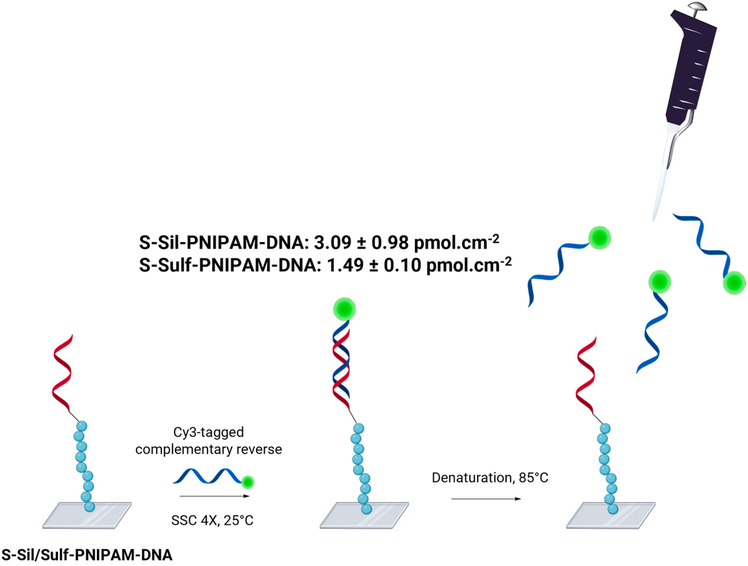 Polymers 16 02873 sch003 Polymers 16 02873 sch003