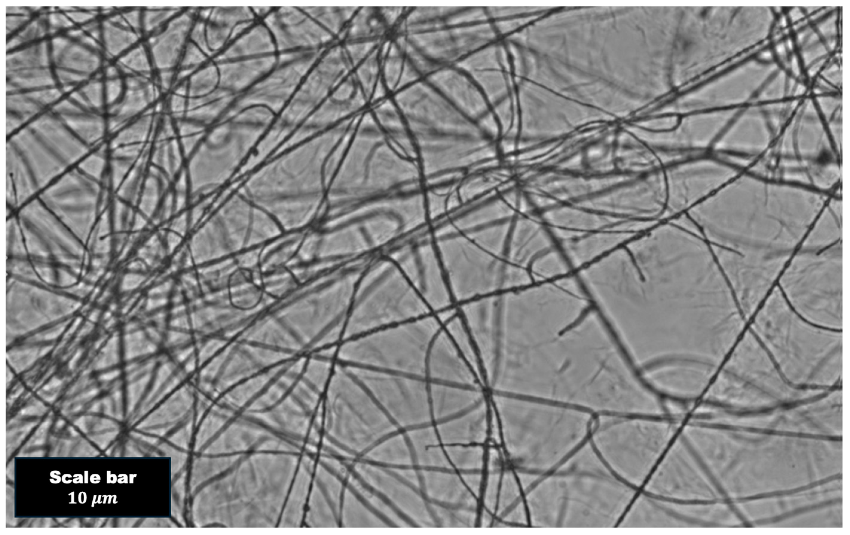 Polymers 16 02875 g002
