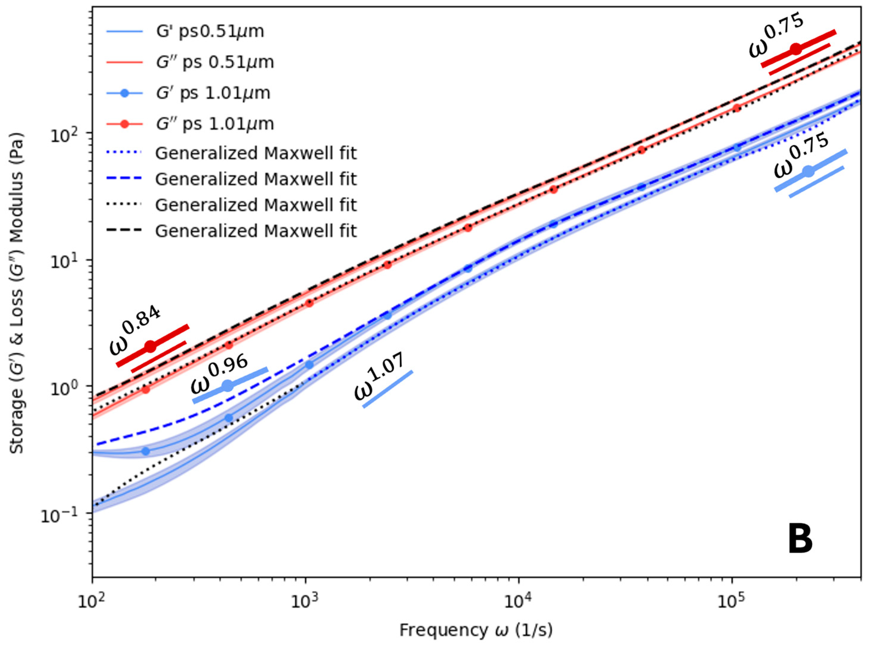 Polymers 16 02875 g003b