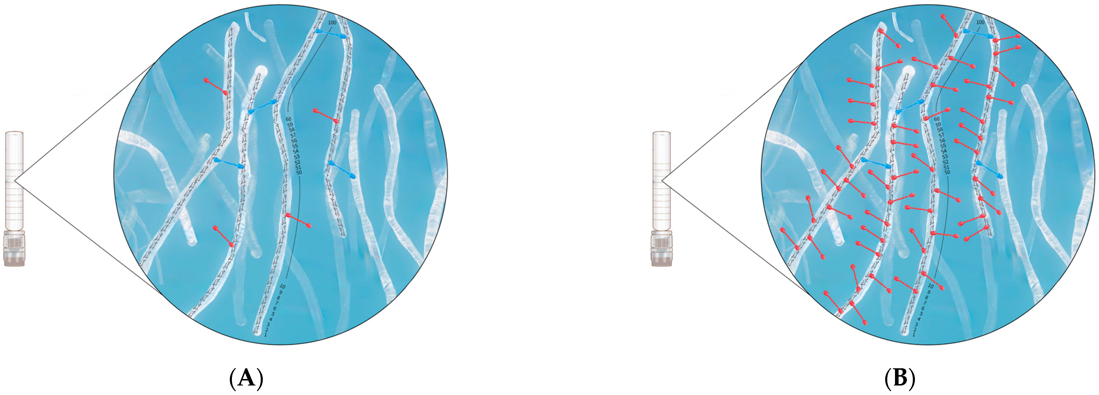 Polymers 16 02878 g005