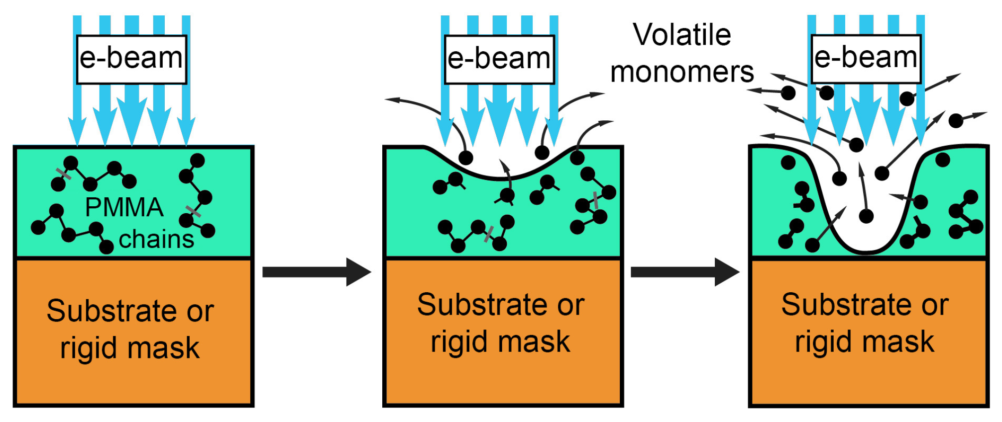Polymers 16 02880 g001