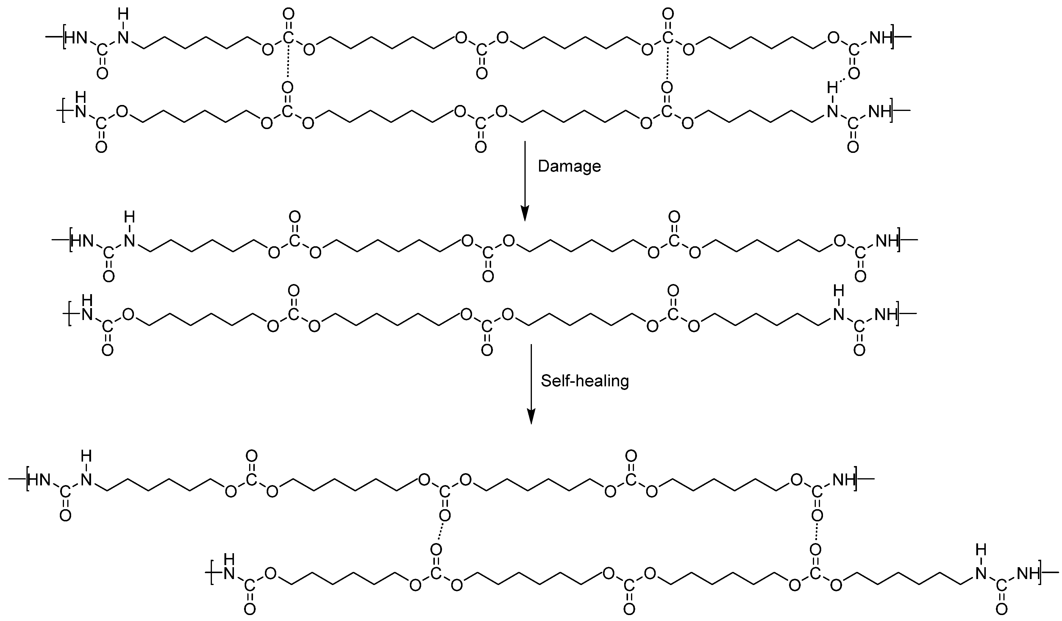 Polymers 16 02881 g001