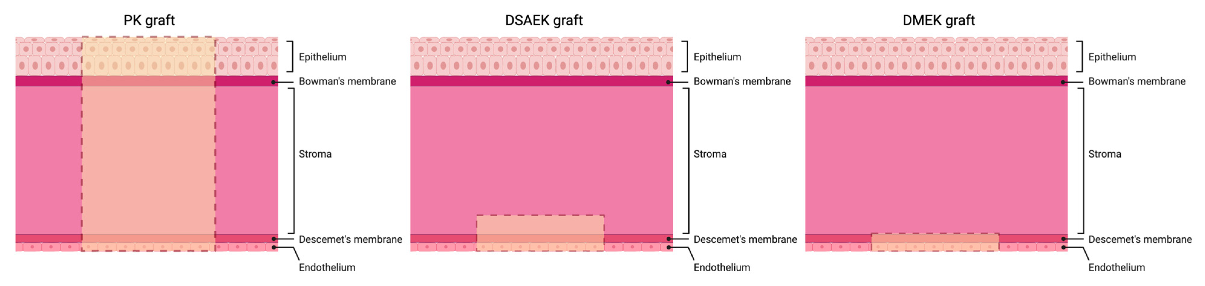Polymers 16 02882 g002