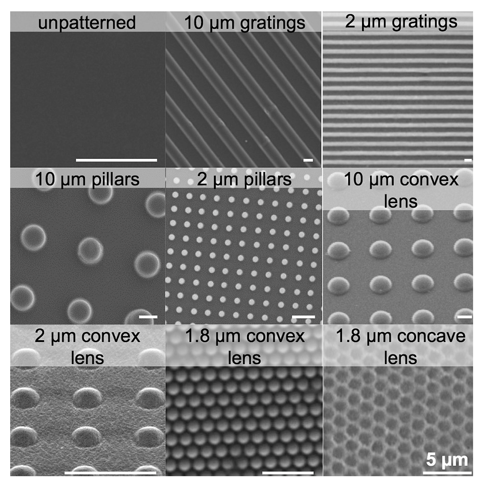 Polymers 16 02882 g005
