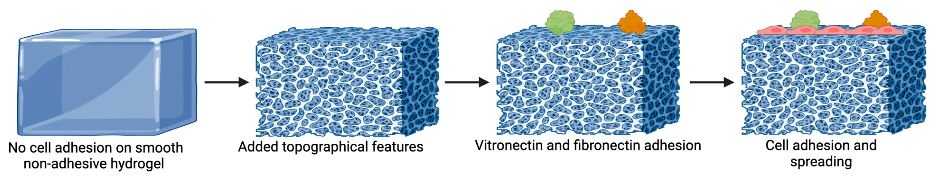 Polymers 16 02882 g006