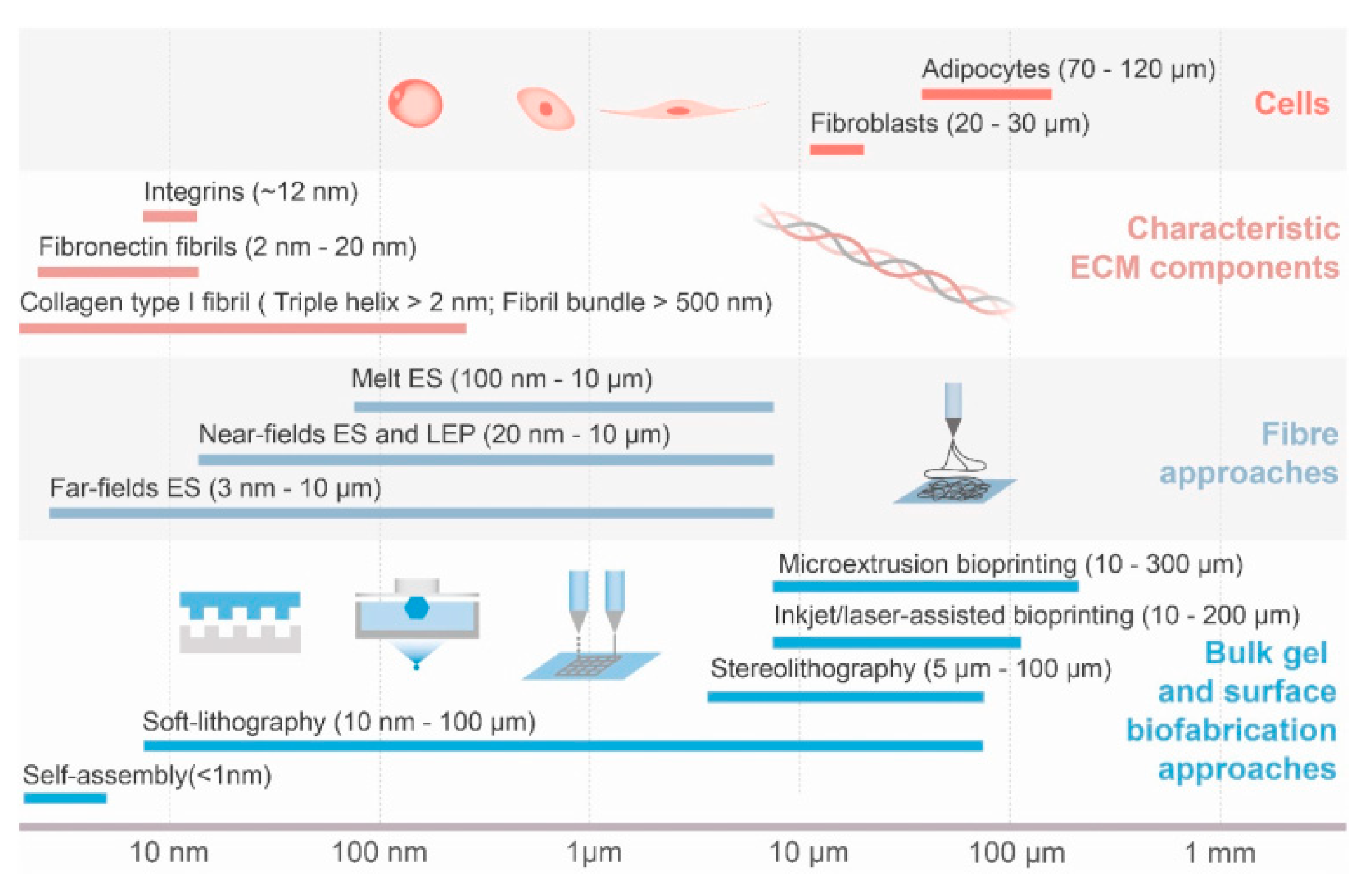 Polymers 16 02882 g007
