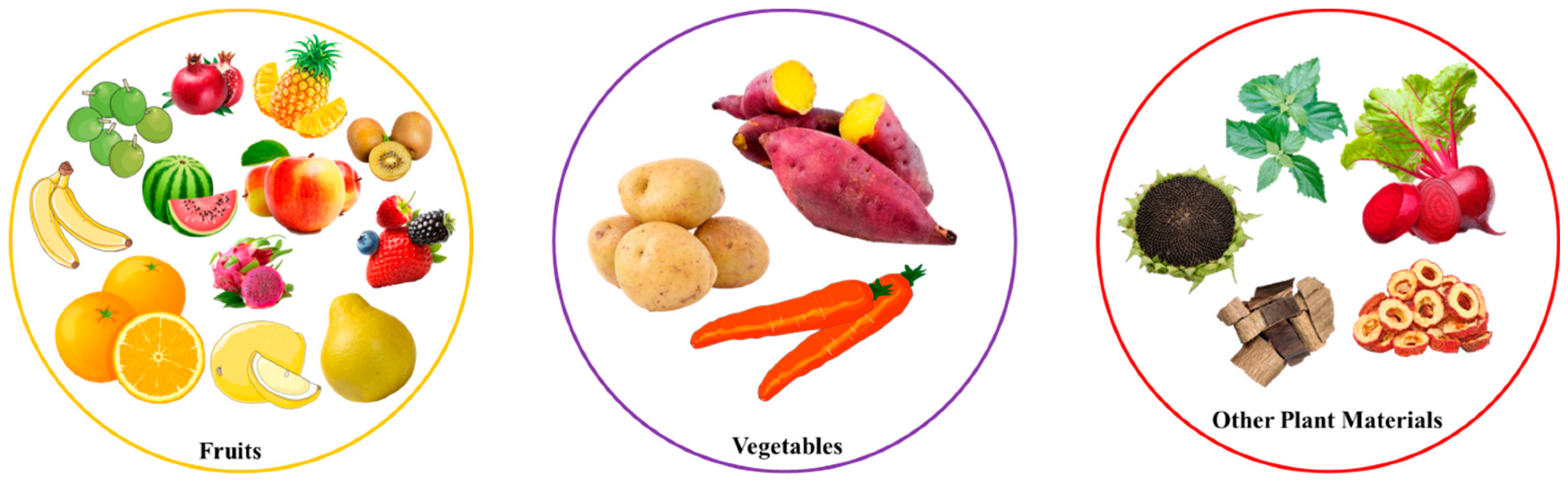 Polymers 16 02883 g001