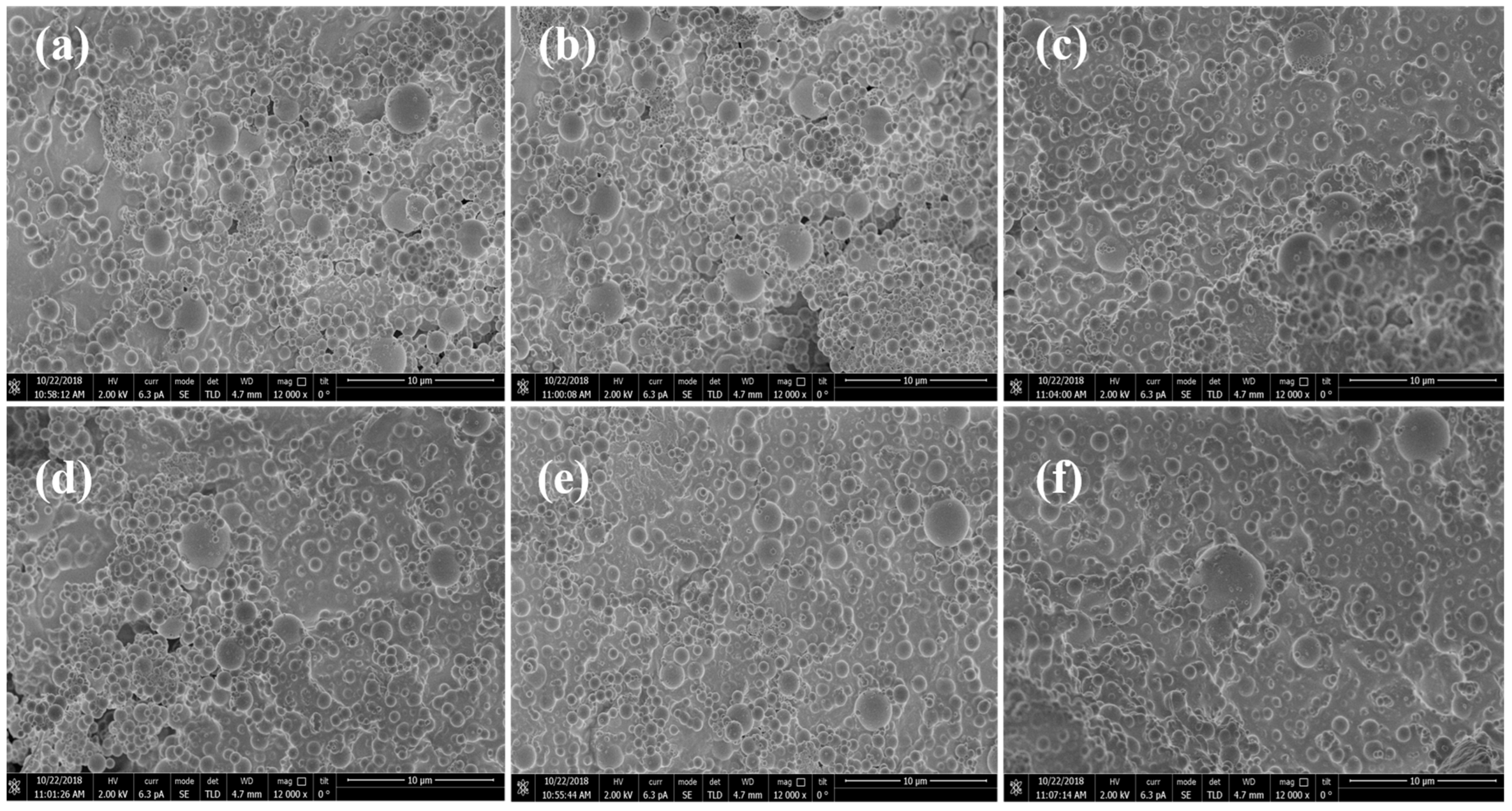 Polymers 16 02884 g003