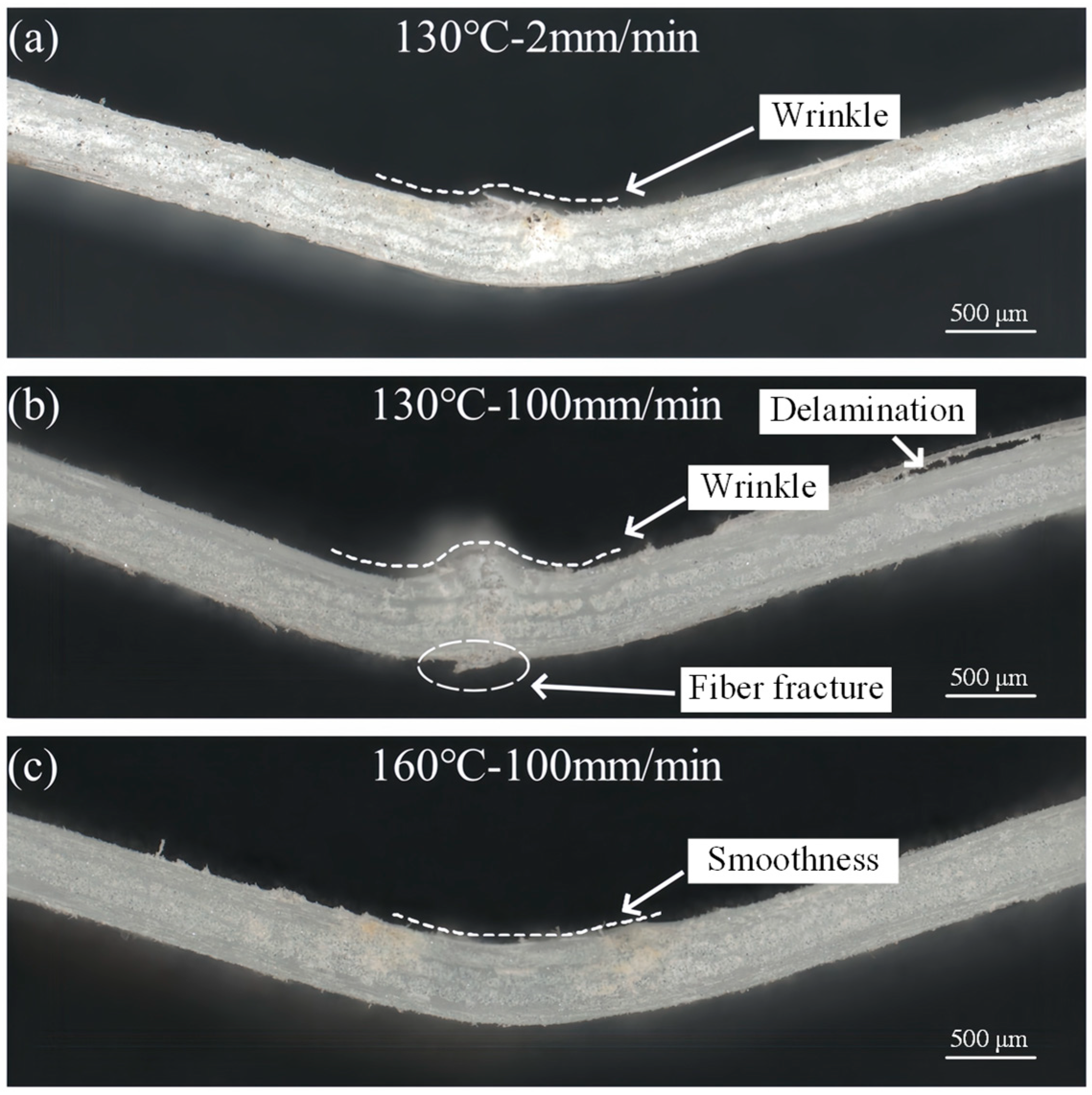 Polymers 16 02885 g008