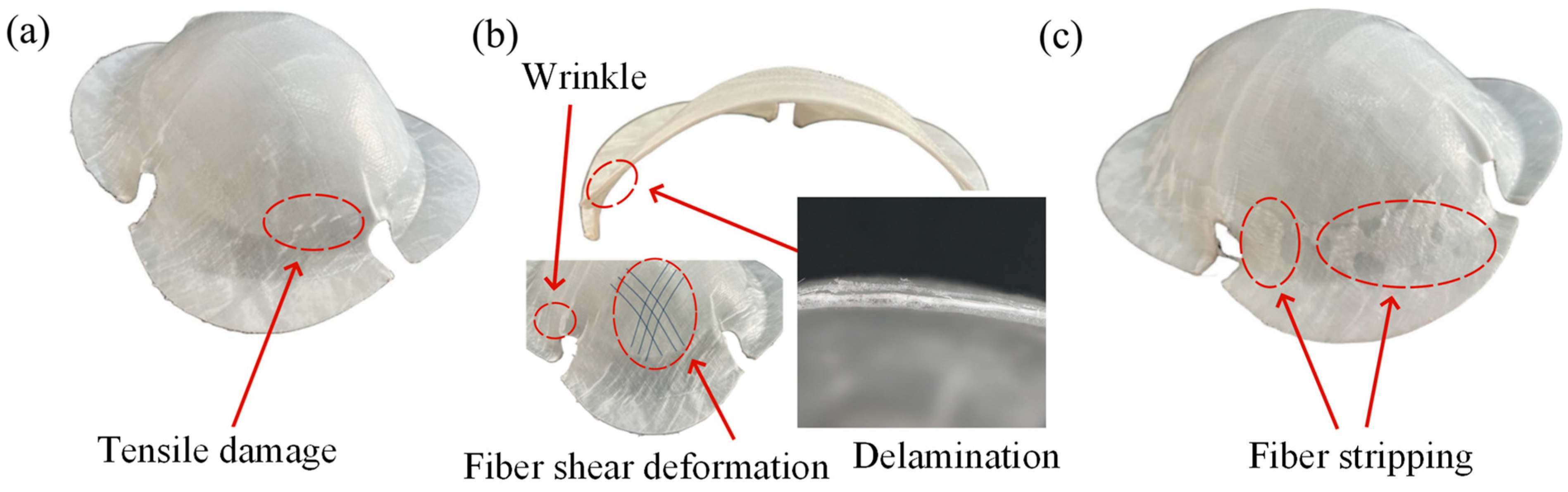 Polymers 16 02885 g010